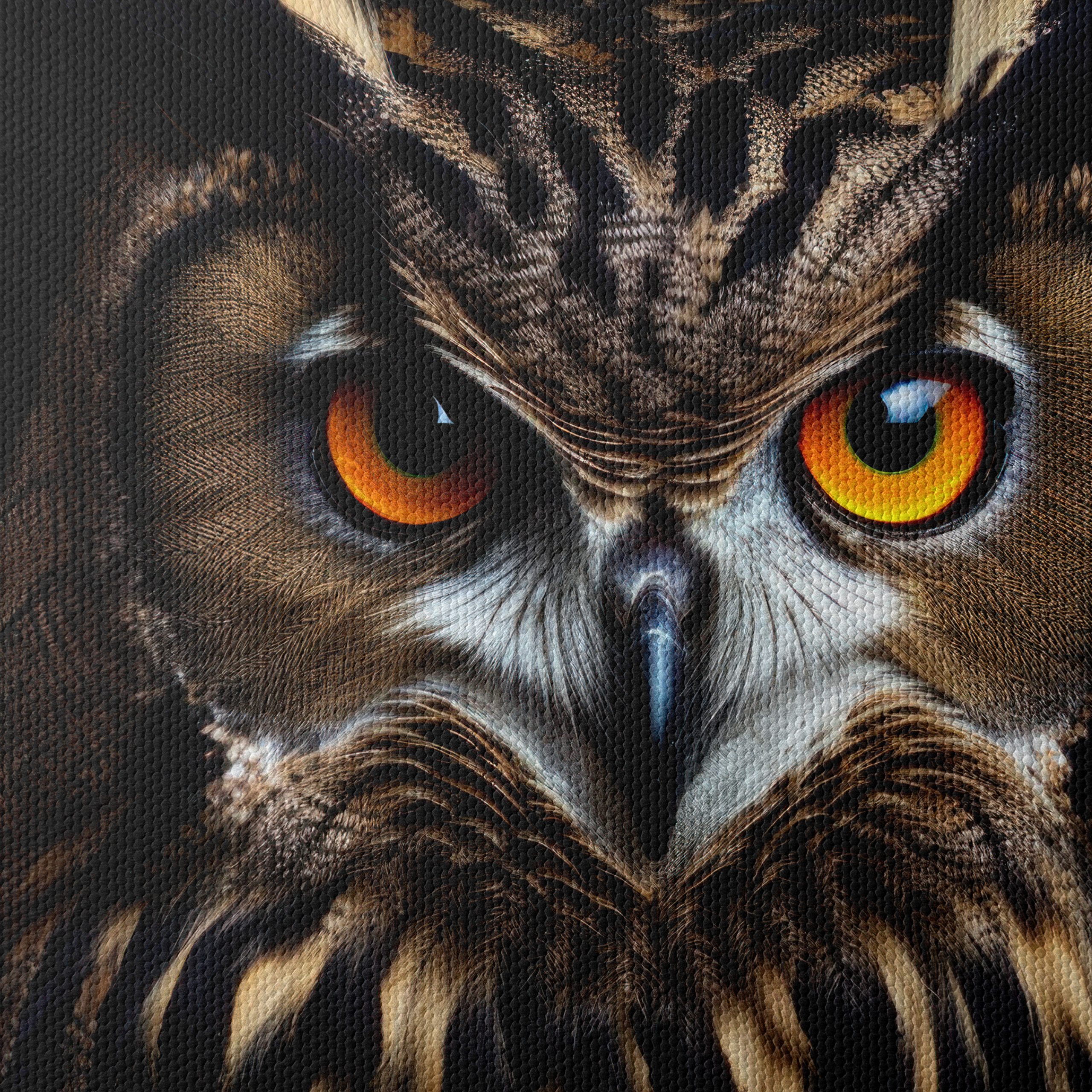 Stunning Owl Wall Art - Image 4