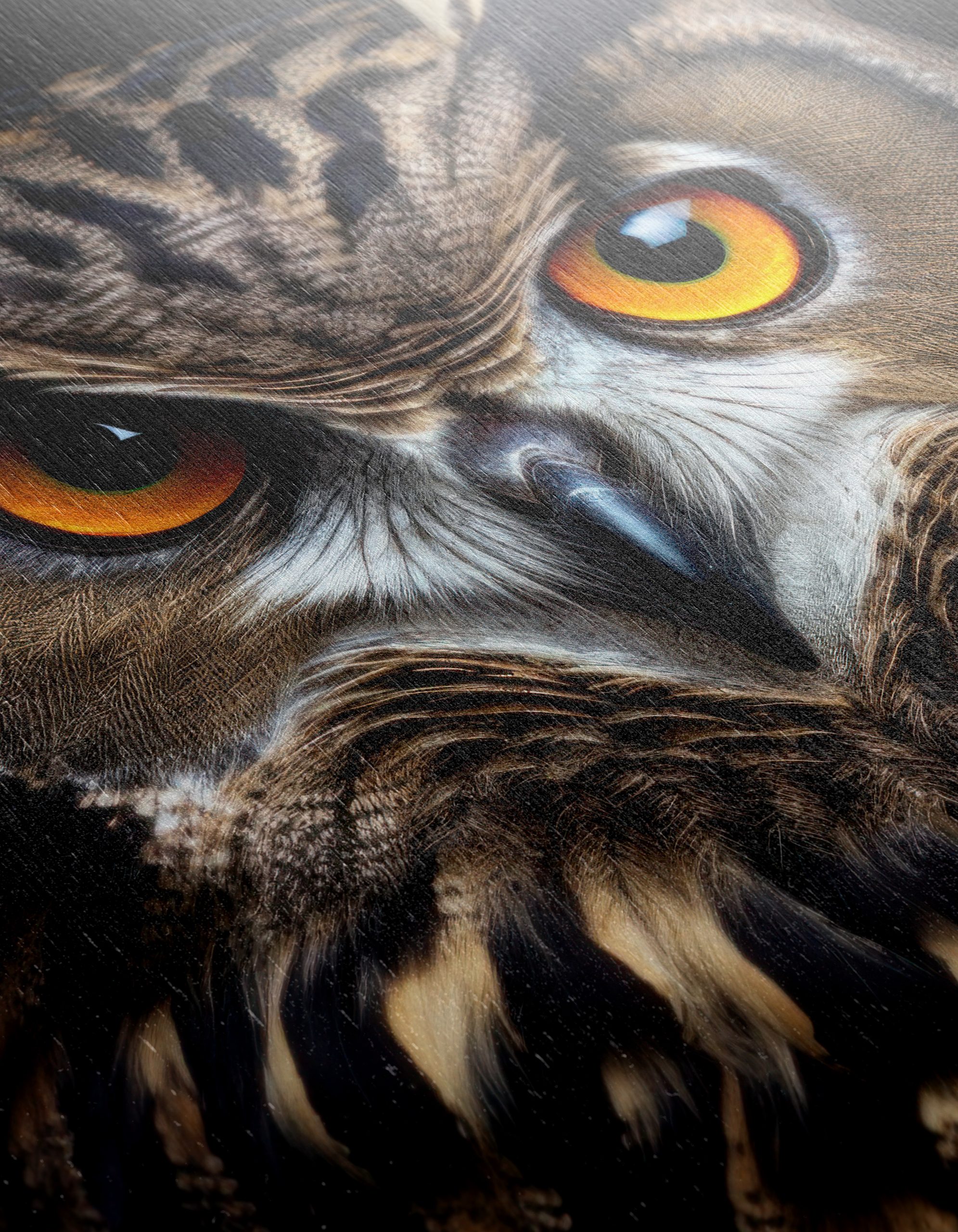 Stunning Owl Wall Art - Image 12