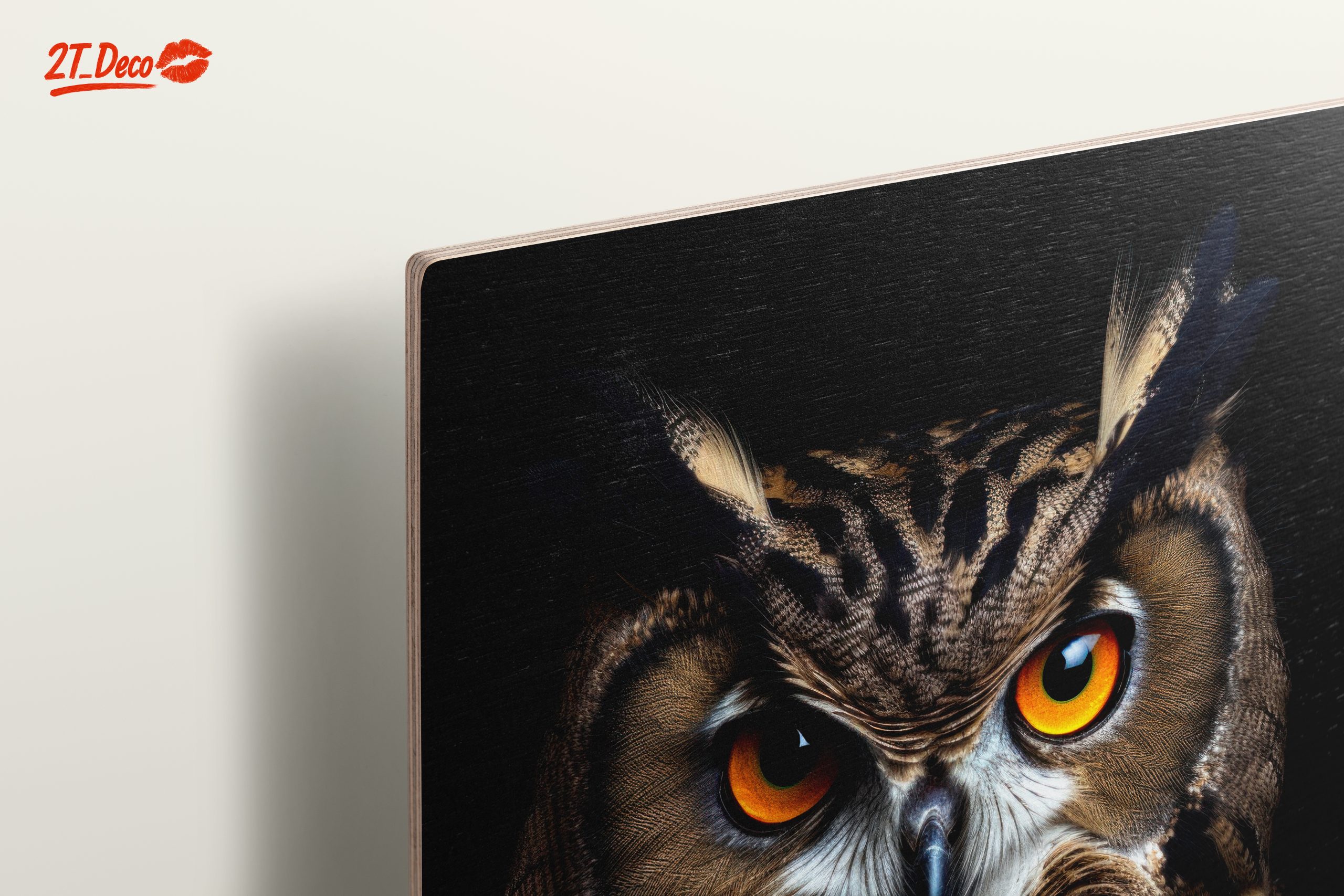 Stunning Owl Wall Art - Image 15