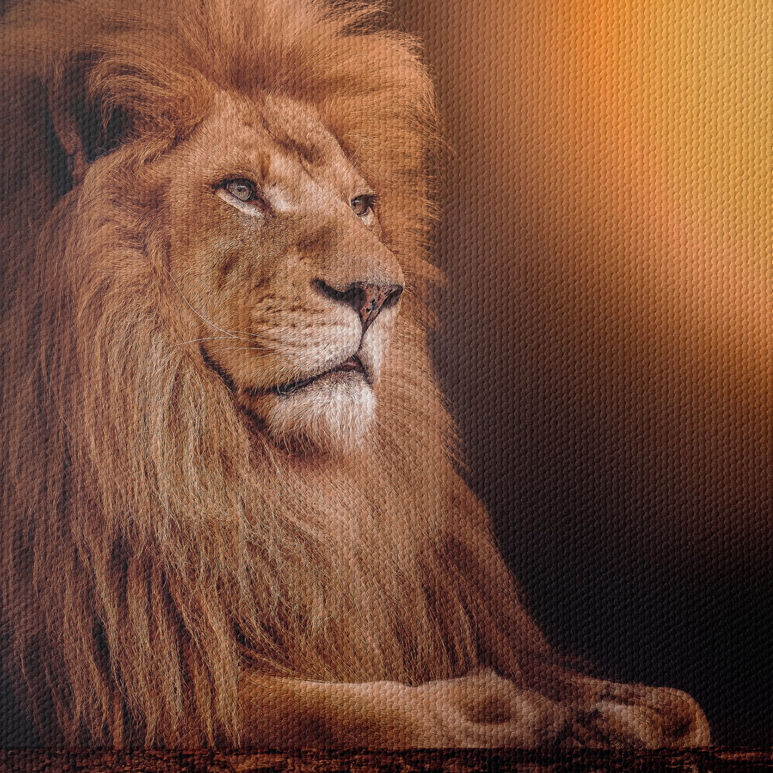 Majestic Lion with Sunset Background - Image 4