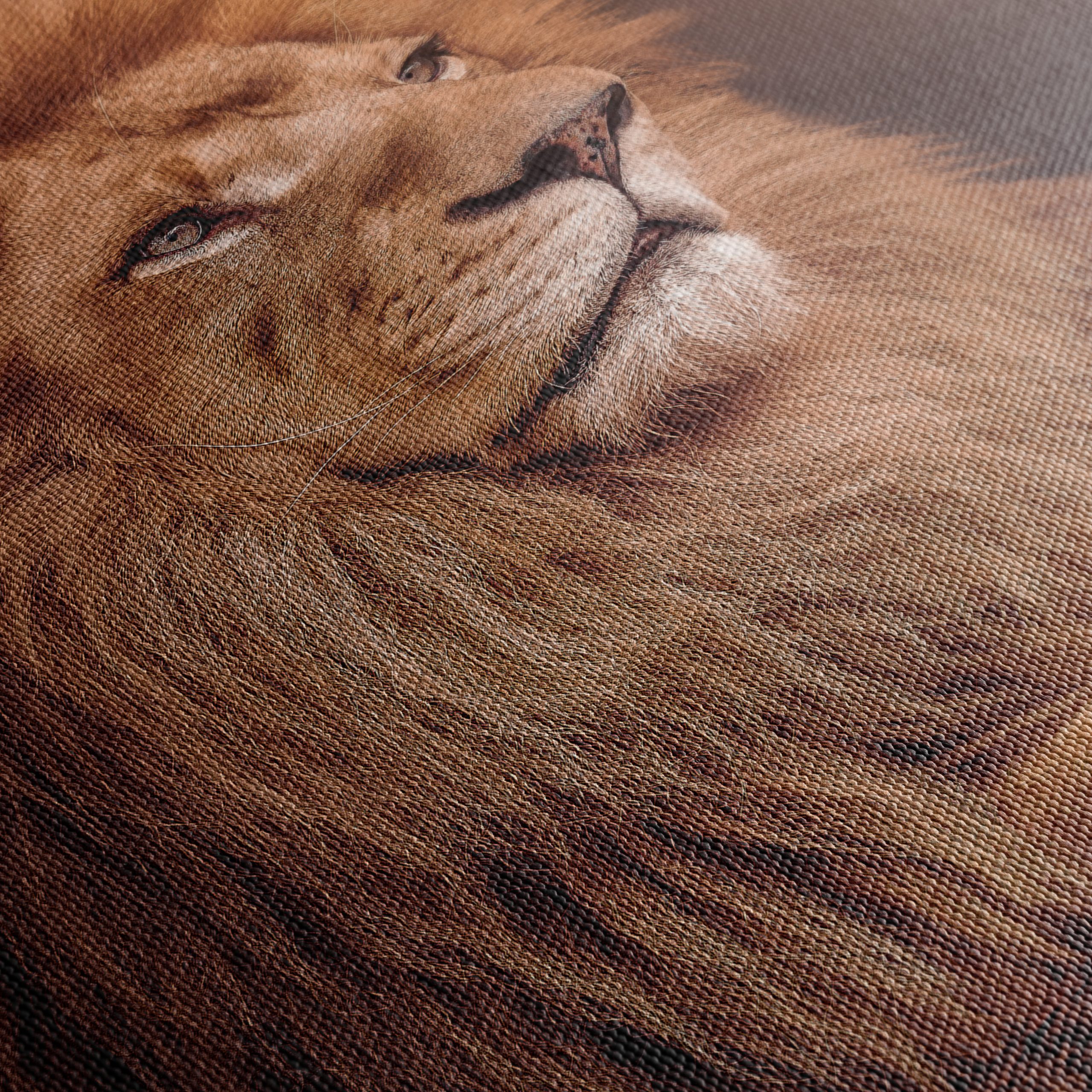 Majestic Lion with Sunset Background - Image 5