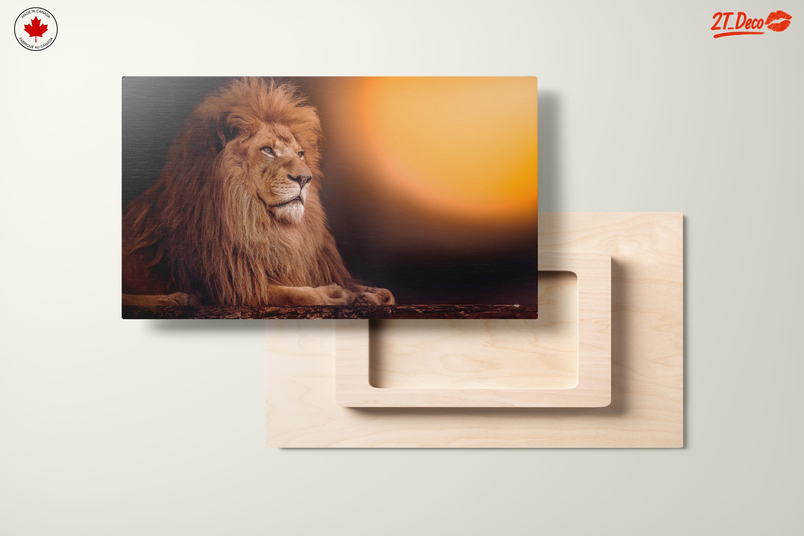 Majestic Lion with Sunset Background - Image 11