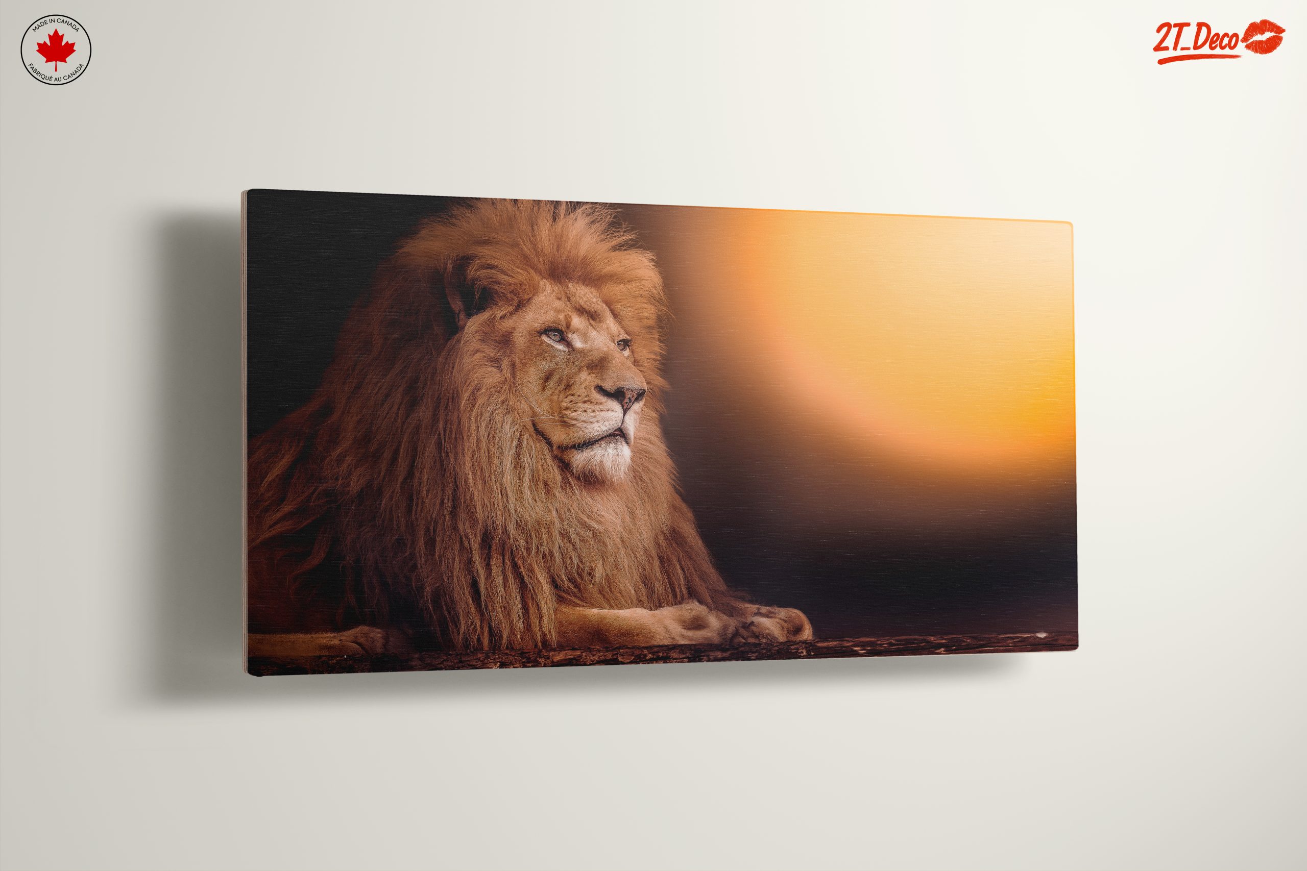 Majestic Lion with Sunset Background - Image 13