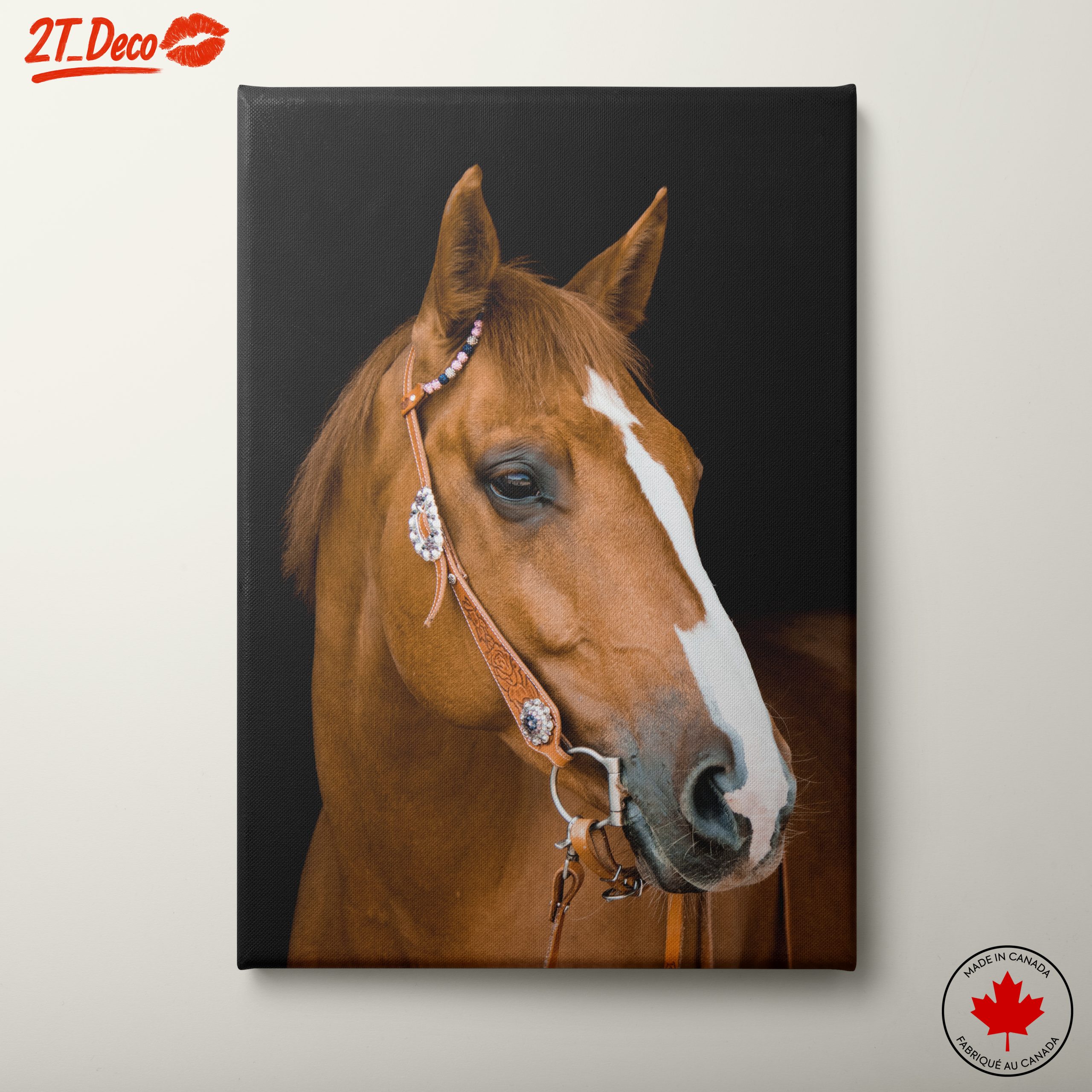 Elegant Horse Portrait