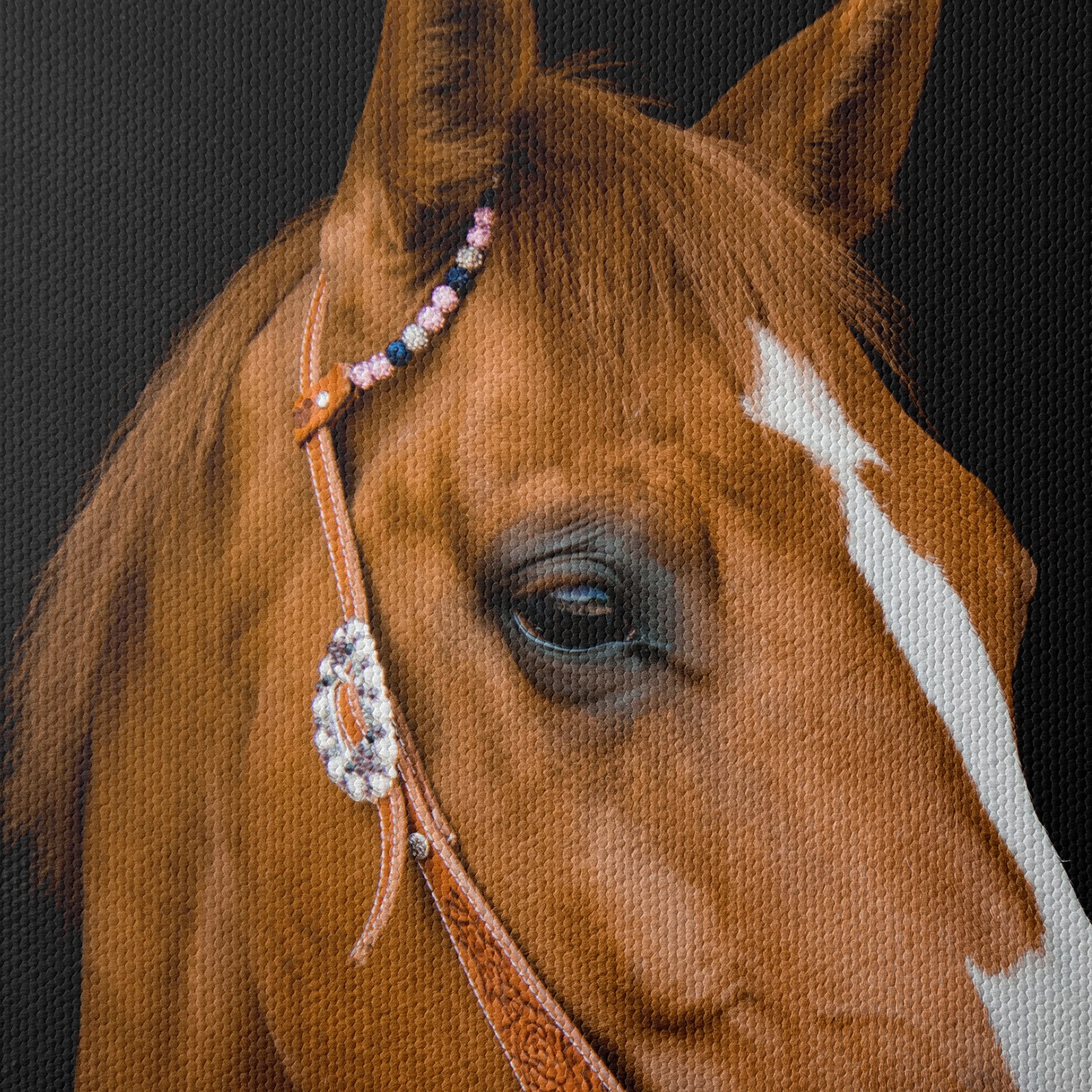 Elegant Horse Portrait - Image 4