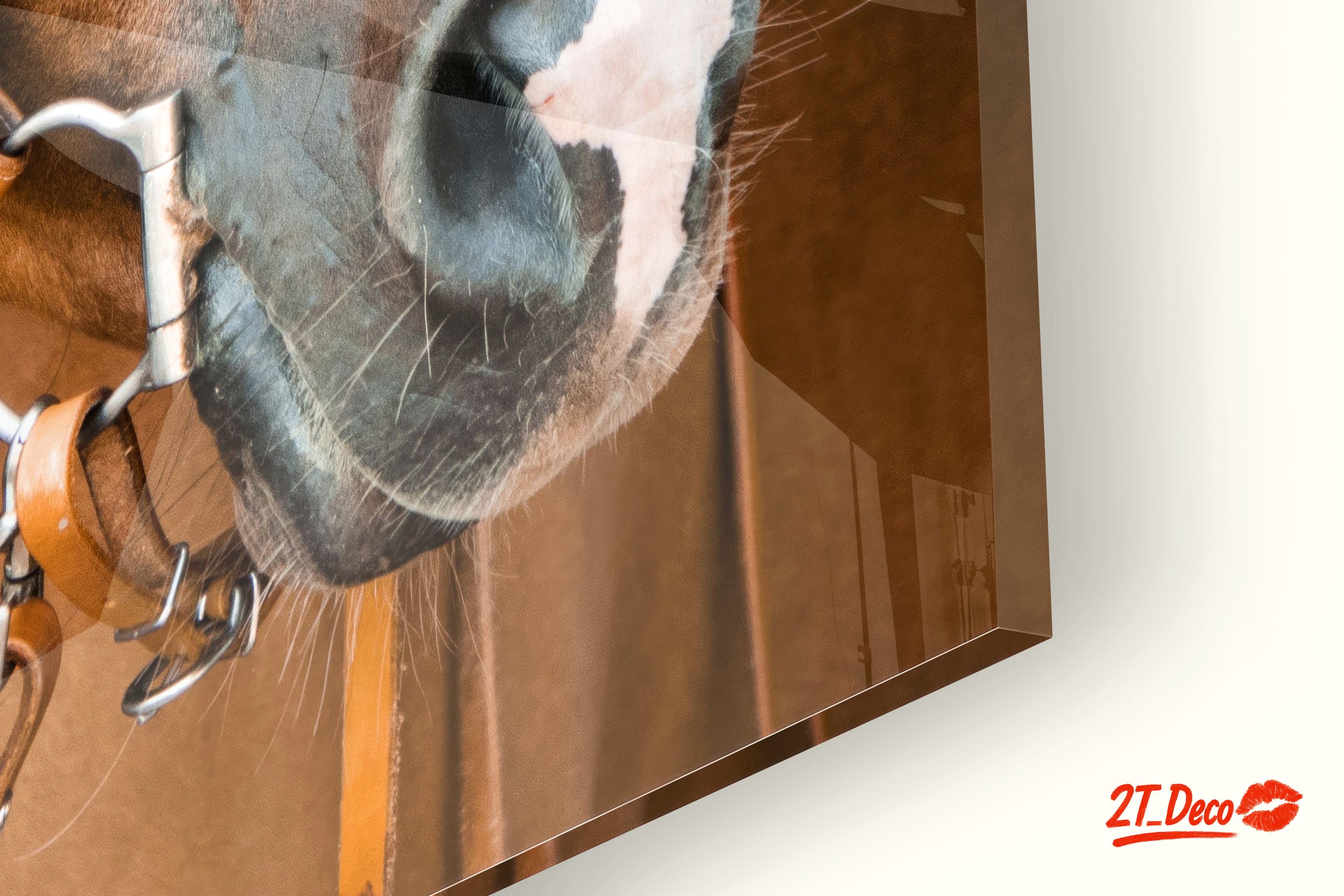 Elegant Horse Portrait - Image 9