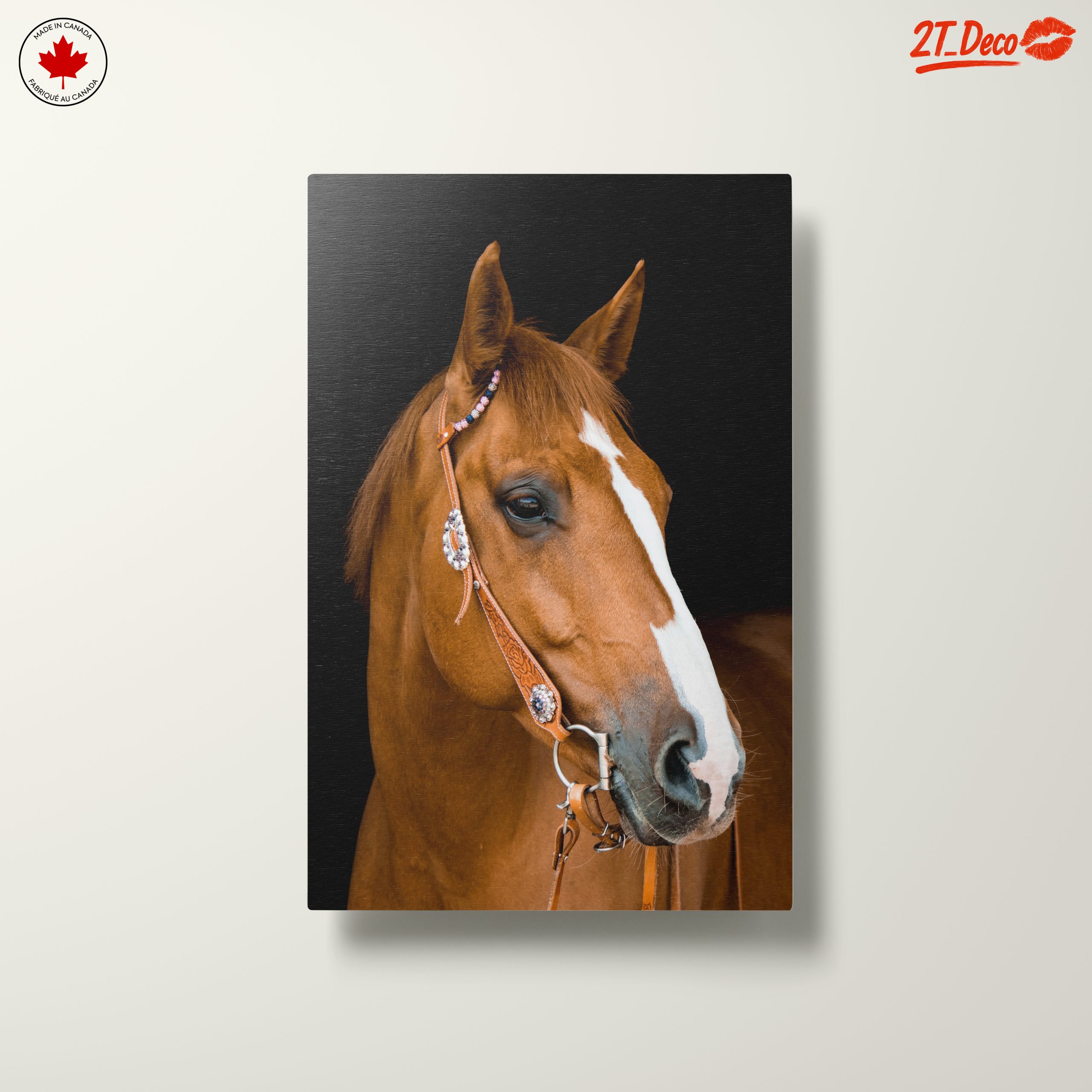 Elegant Horse Portrait - Image 10