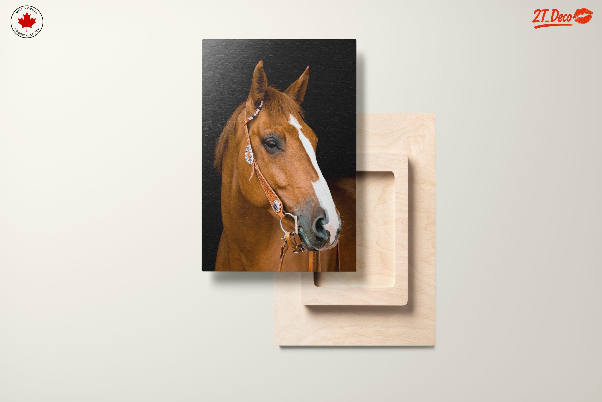 Elegant Horse Portrait - Image 11