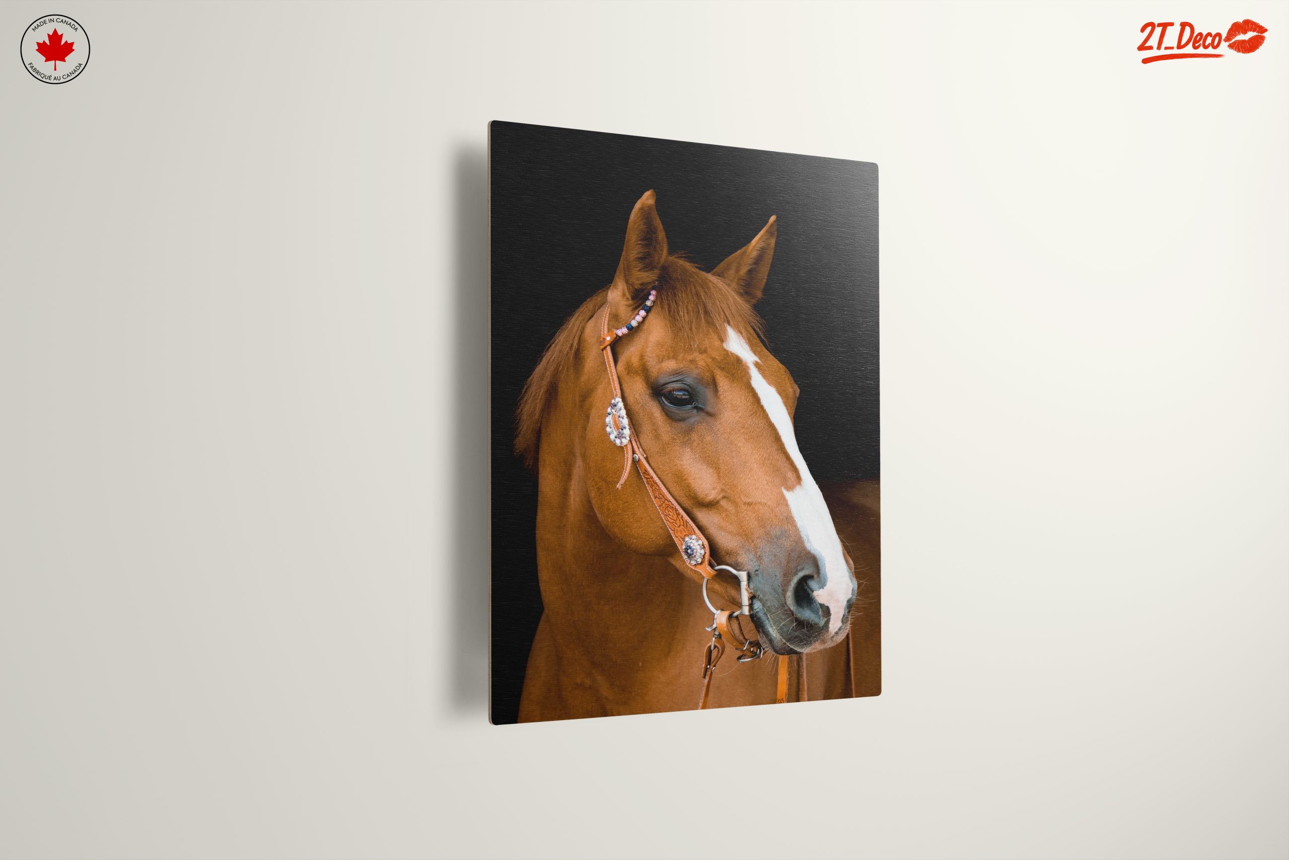 Elegant Horse Portrait - Image 13