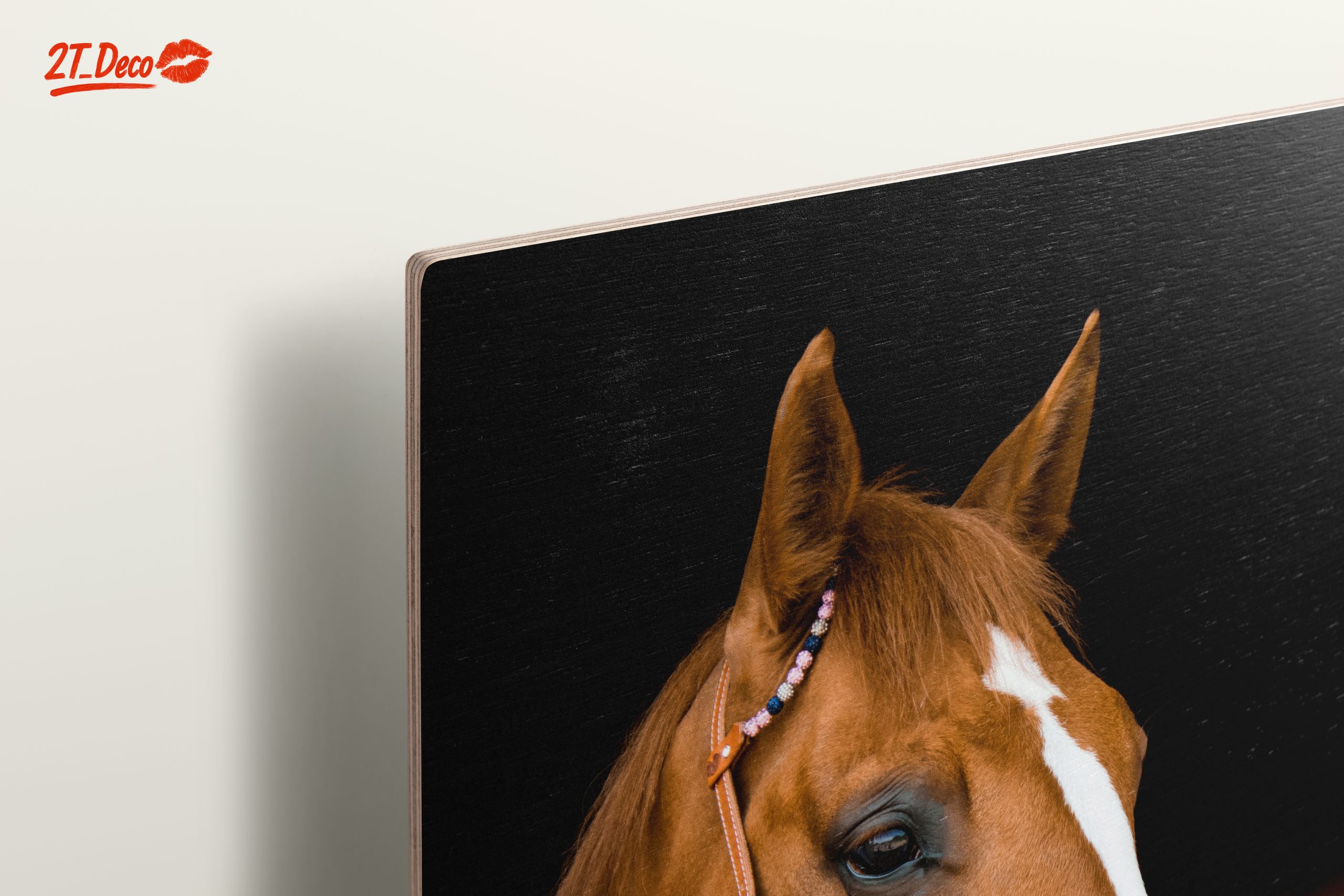 Elegant Horse Portrait - Image 15