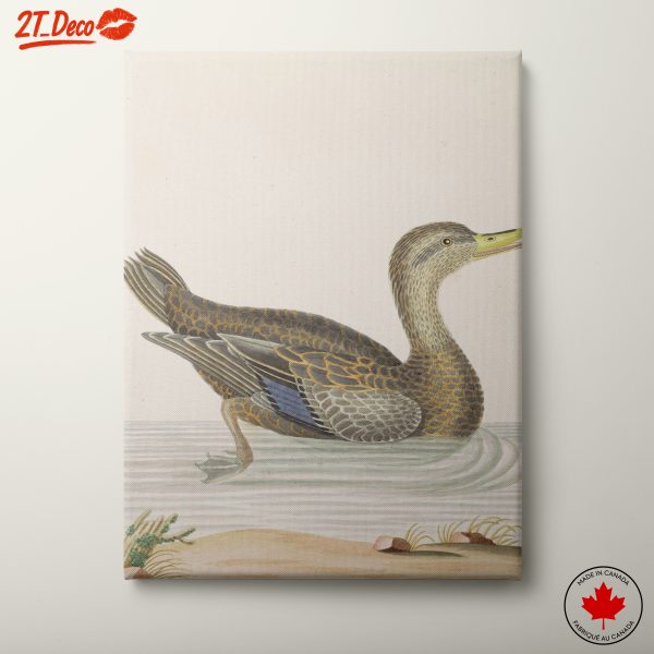 Realistic Bird Art for Nature Lovers