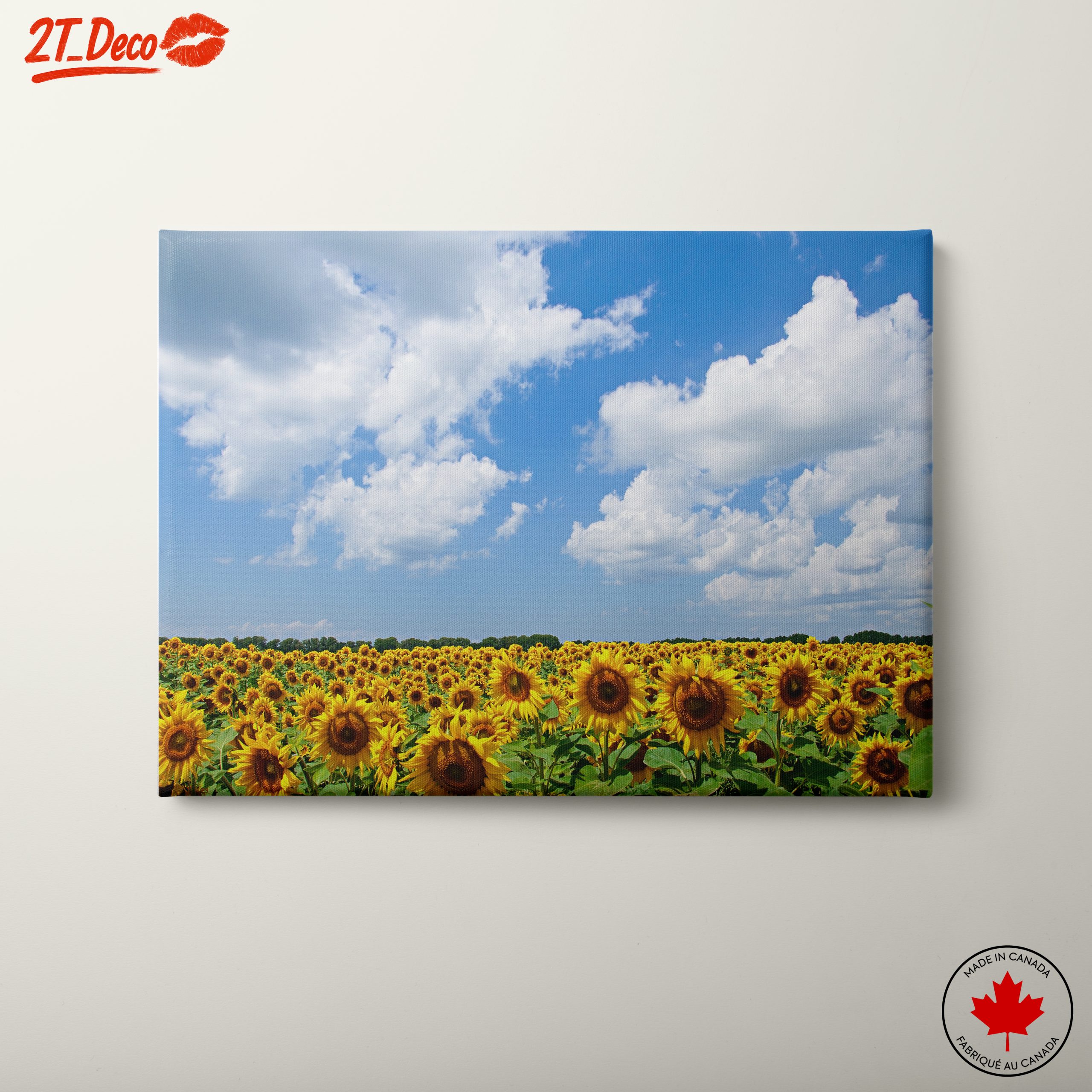Vibrant Sunflower Field Under Blue Sky