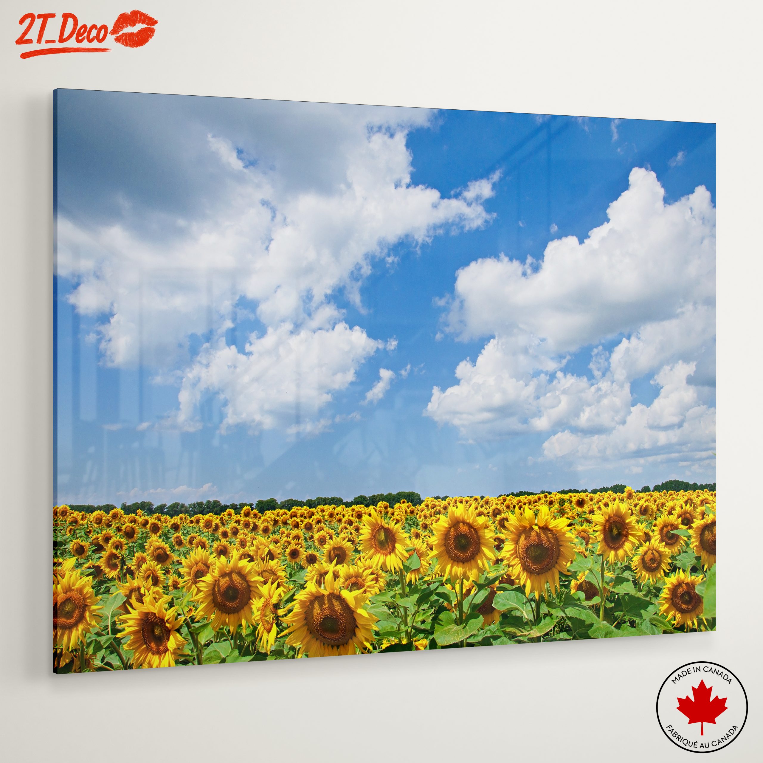 Vibrant Sunflower Field Under Blue Sky - Image 6