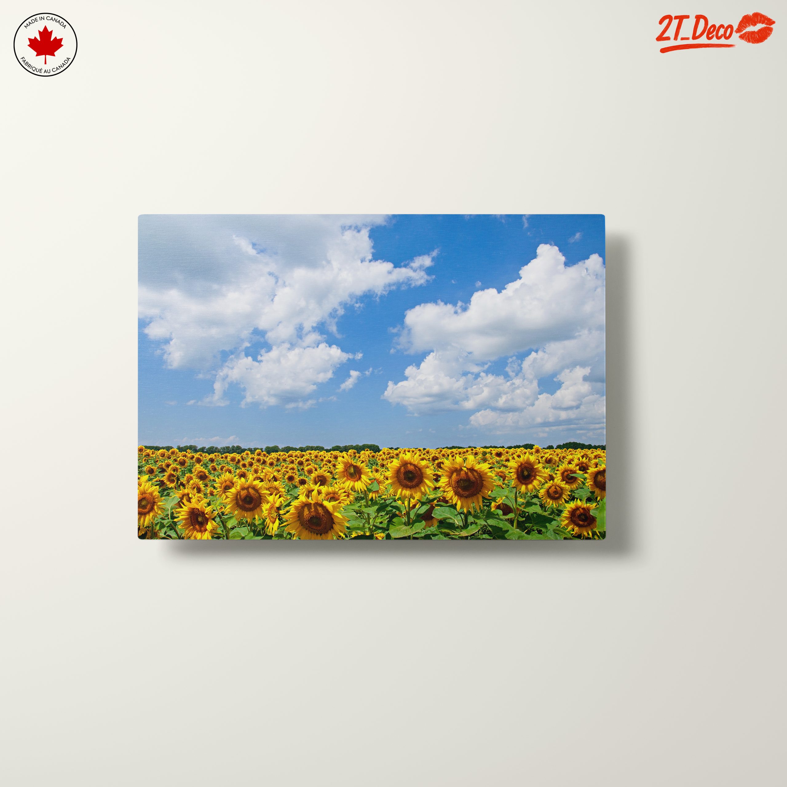 Vibrant Sunflower Field Under Blue Sky - Image 10
