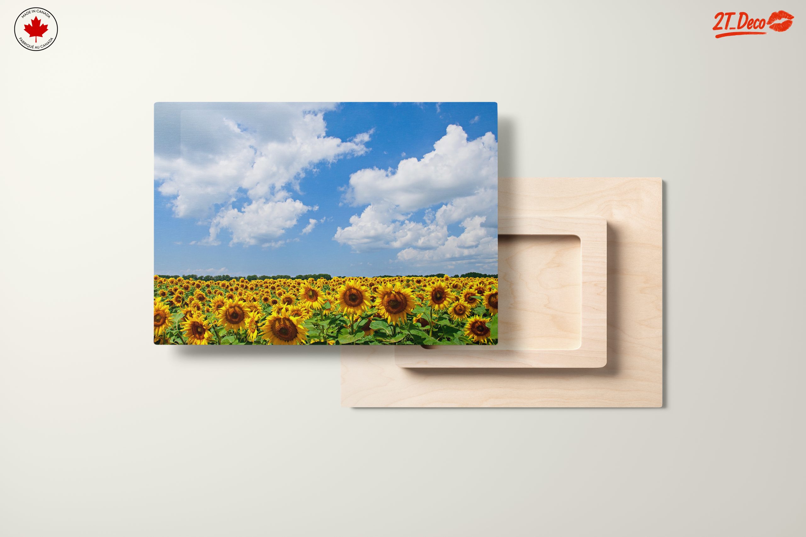 Vibrant Sunflower Field Under Blue Sky - Image 11