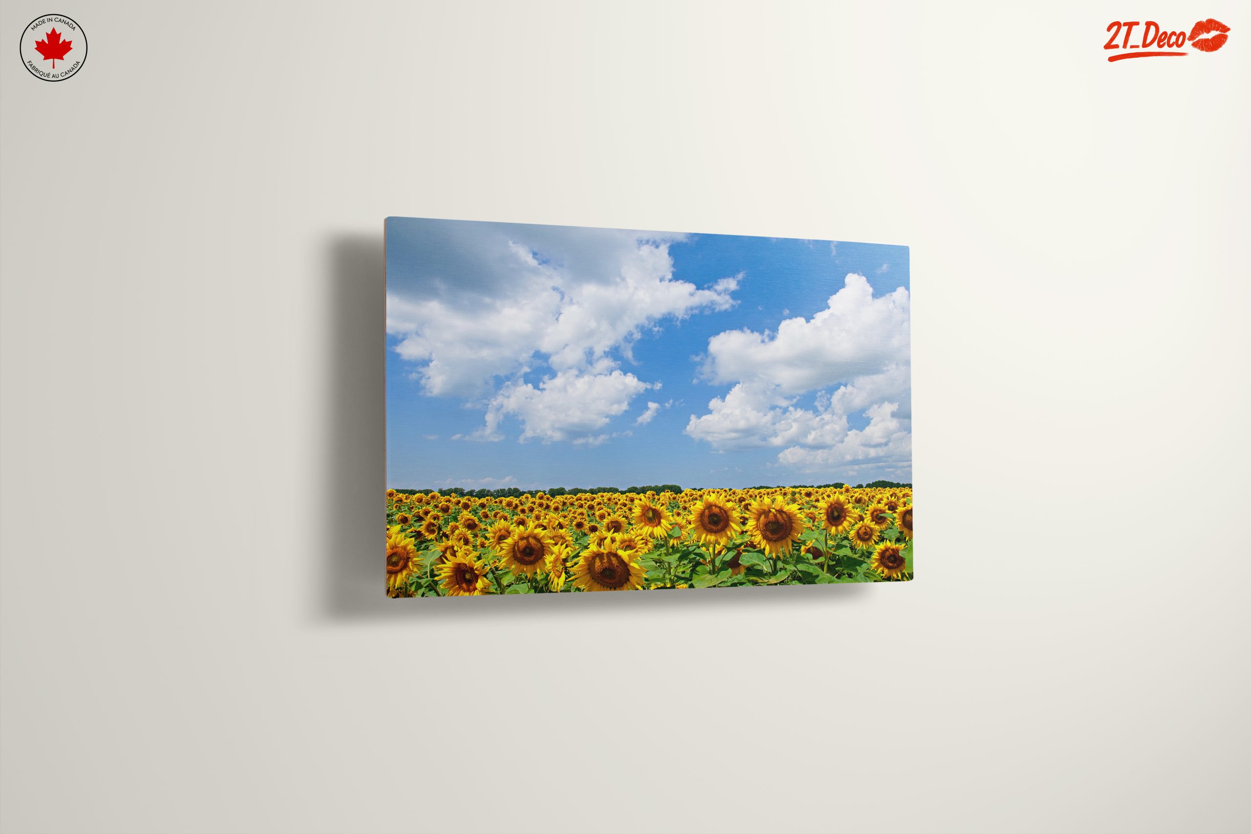 Vibrant Sunflower Field Under Blue Sky - Image 13