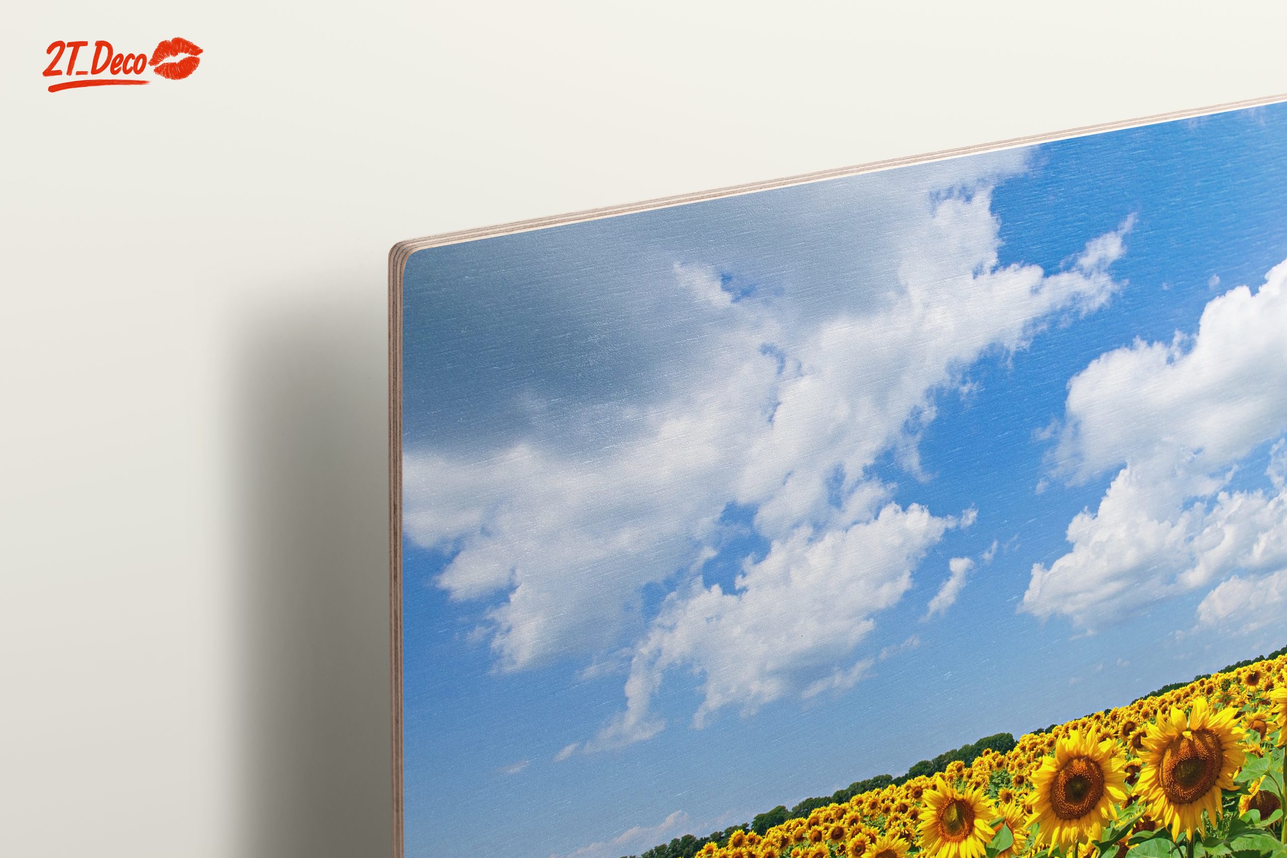 Vibrant Sunflower Field Under Blue Sky - Image 15