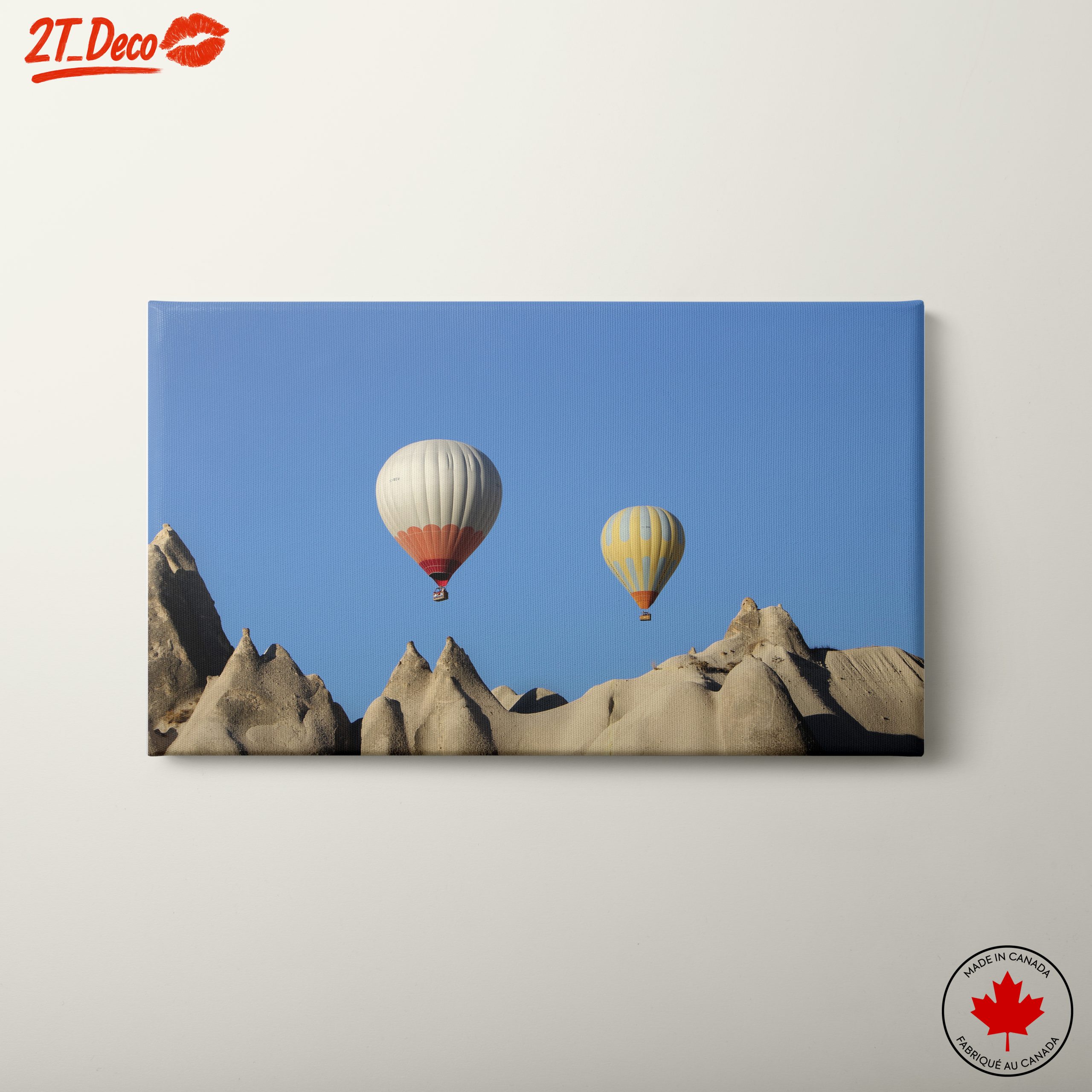Hot Air Balloons Over Unique Landscapes