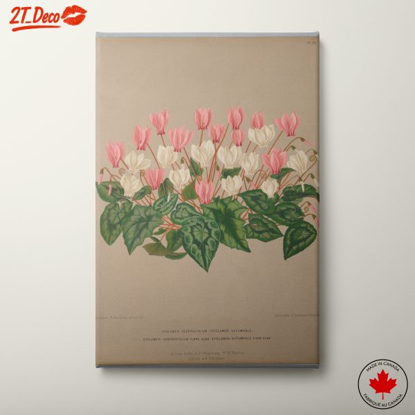 Cyclamen Floral Artwork with Delicate Colors
