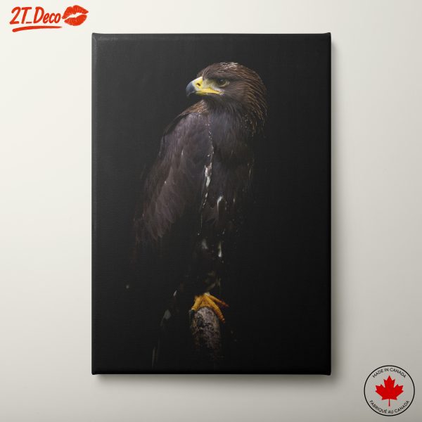 Majestic Eagle Portrait Wall Art 4