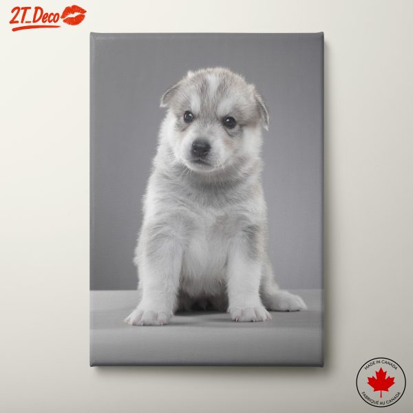 Cute Puppy Portrait for Home Decor