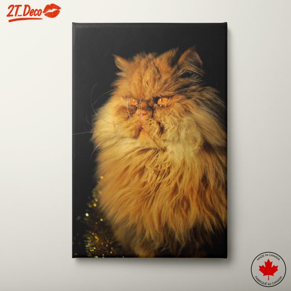 Majestic Persian Cat Portrait