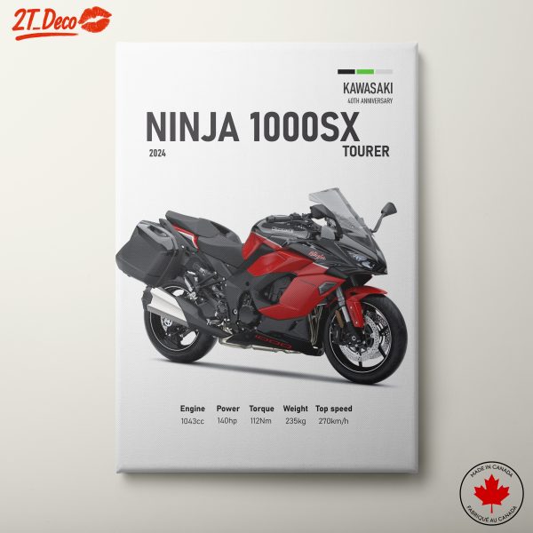 2024 Kawasaki Ninja 1000SX Tourer Artwork