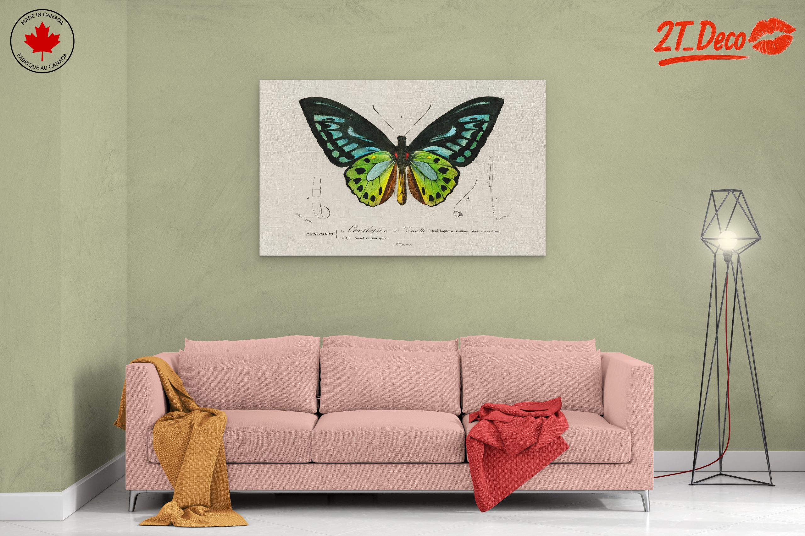 Colorful Butterfly Naturalist Illustration - Image 2