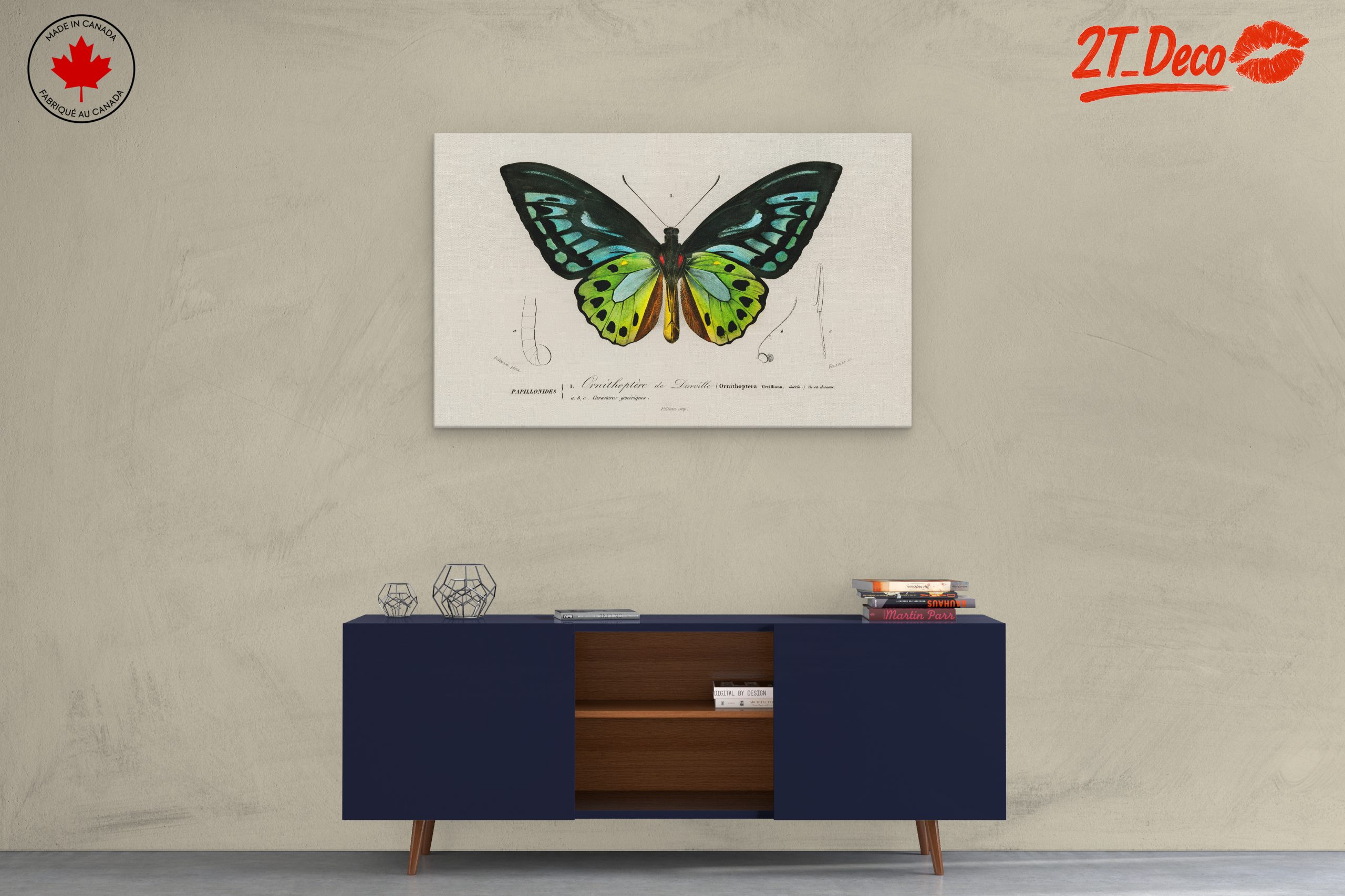 Colorful Butterfly Naturalist Illustration - Image 3