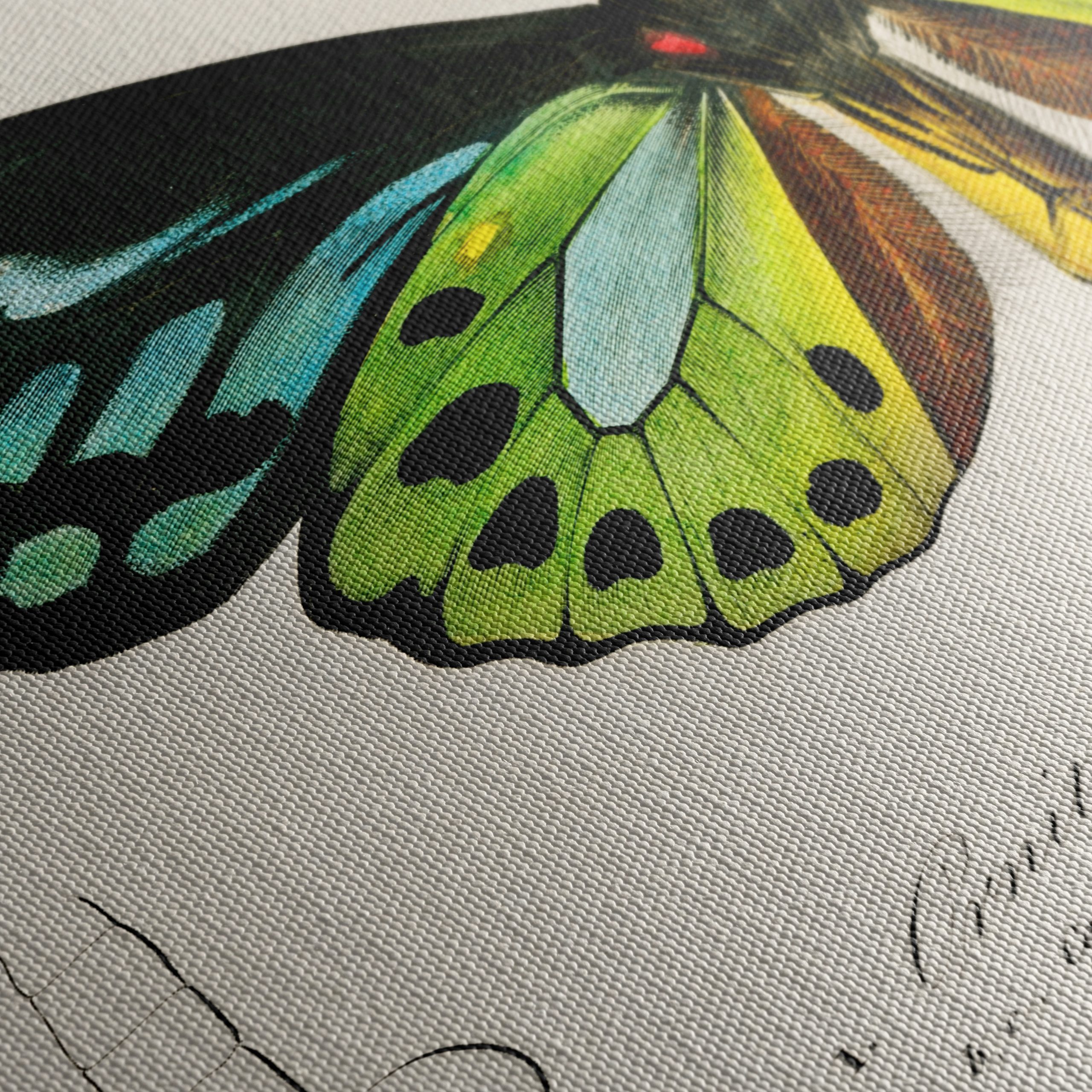 Colorful Butterfly Naturalist Illustration - Image 5