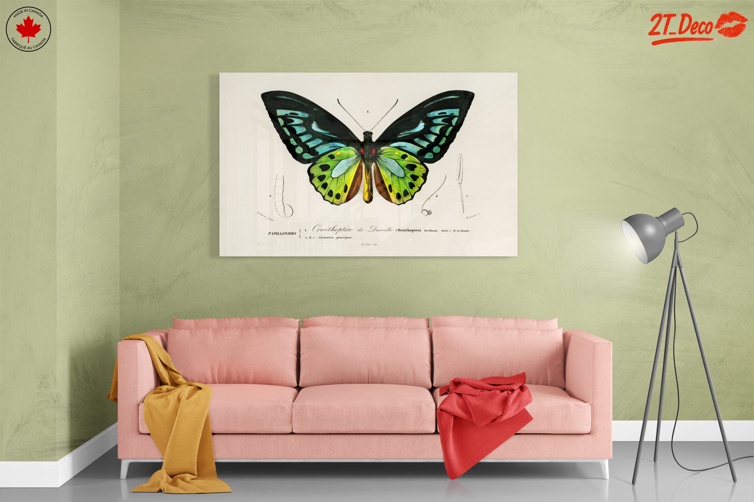 Colorful Butterfly Naturalist Illustration - Image 7
