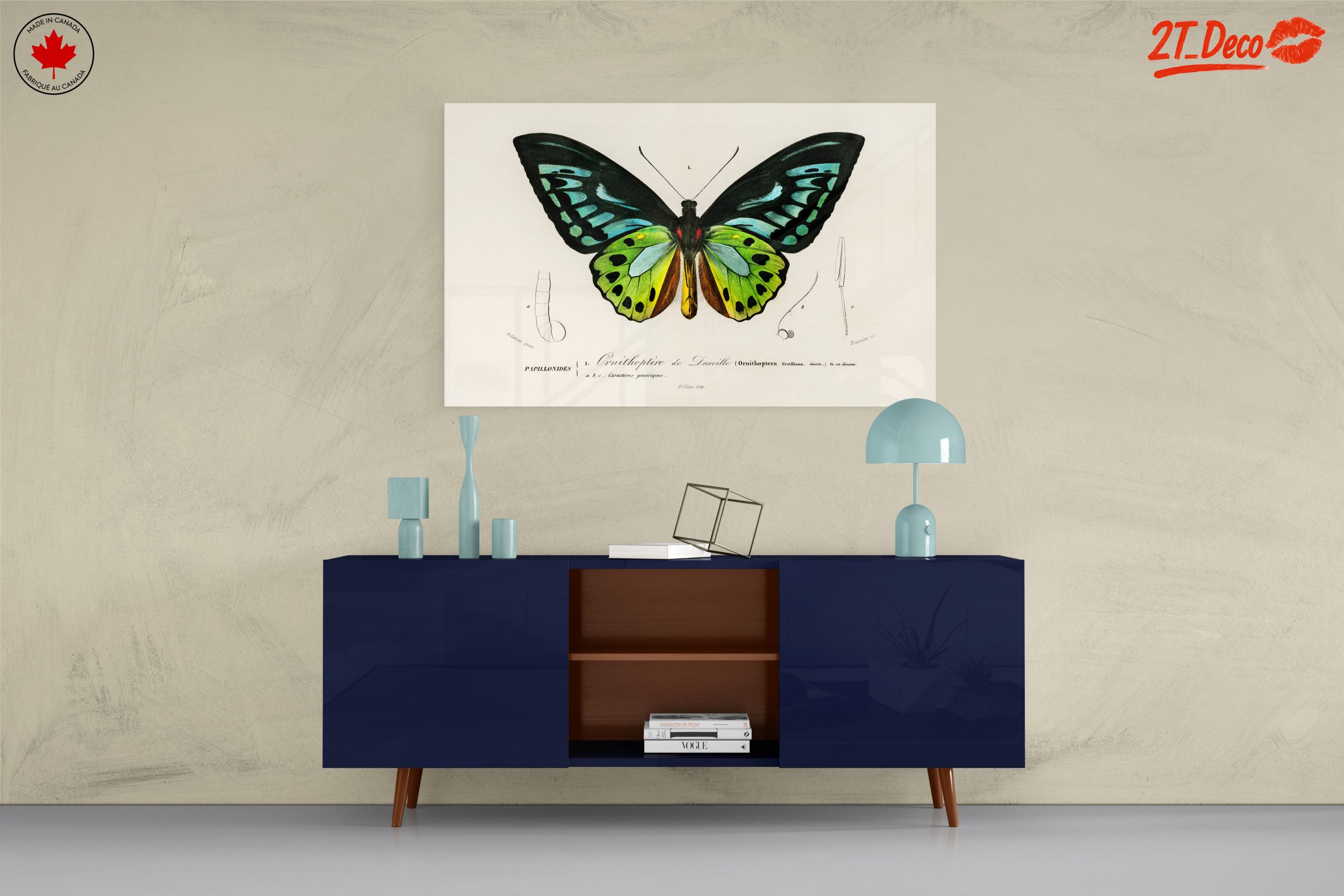 Colorful Butterfly Naturalist Illustration - Image 8