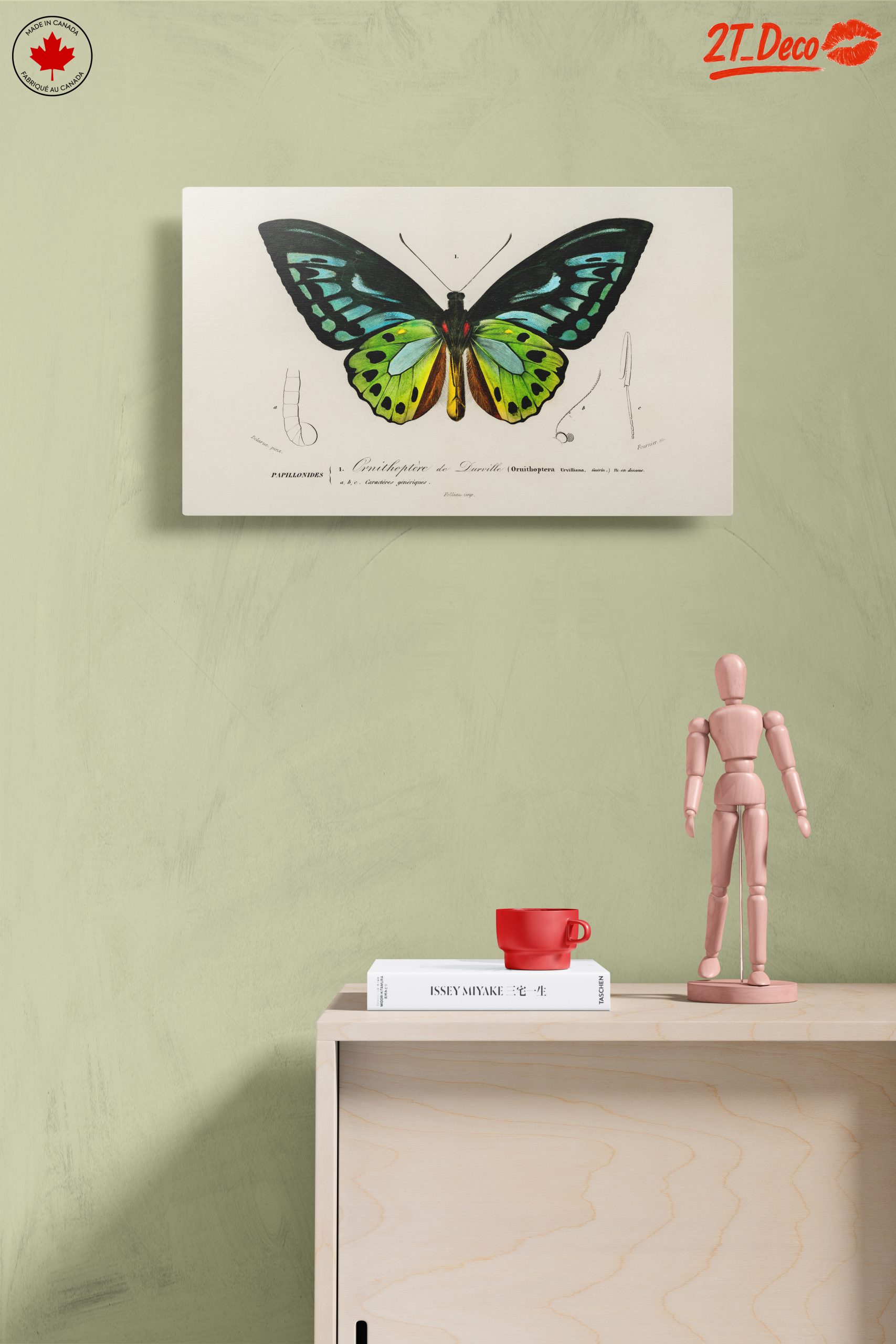 Colorful Butterfly Naturalist Illustration - Image 14