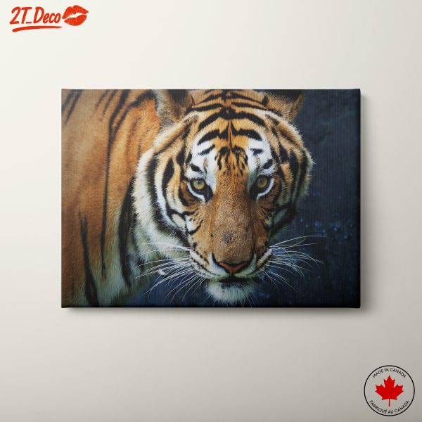 Close-Up of a Majestic Tiger