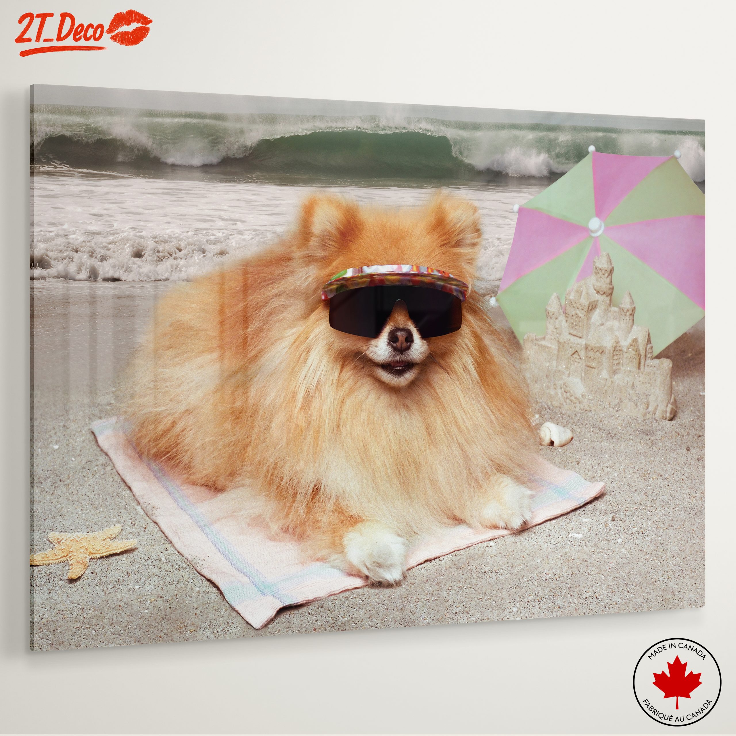 Playful Dog on the Beach - Image 6