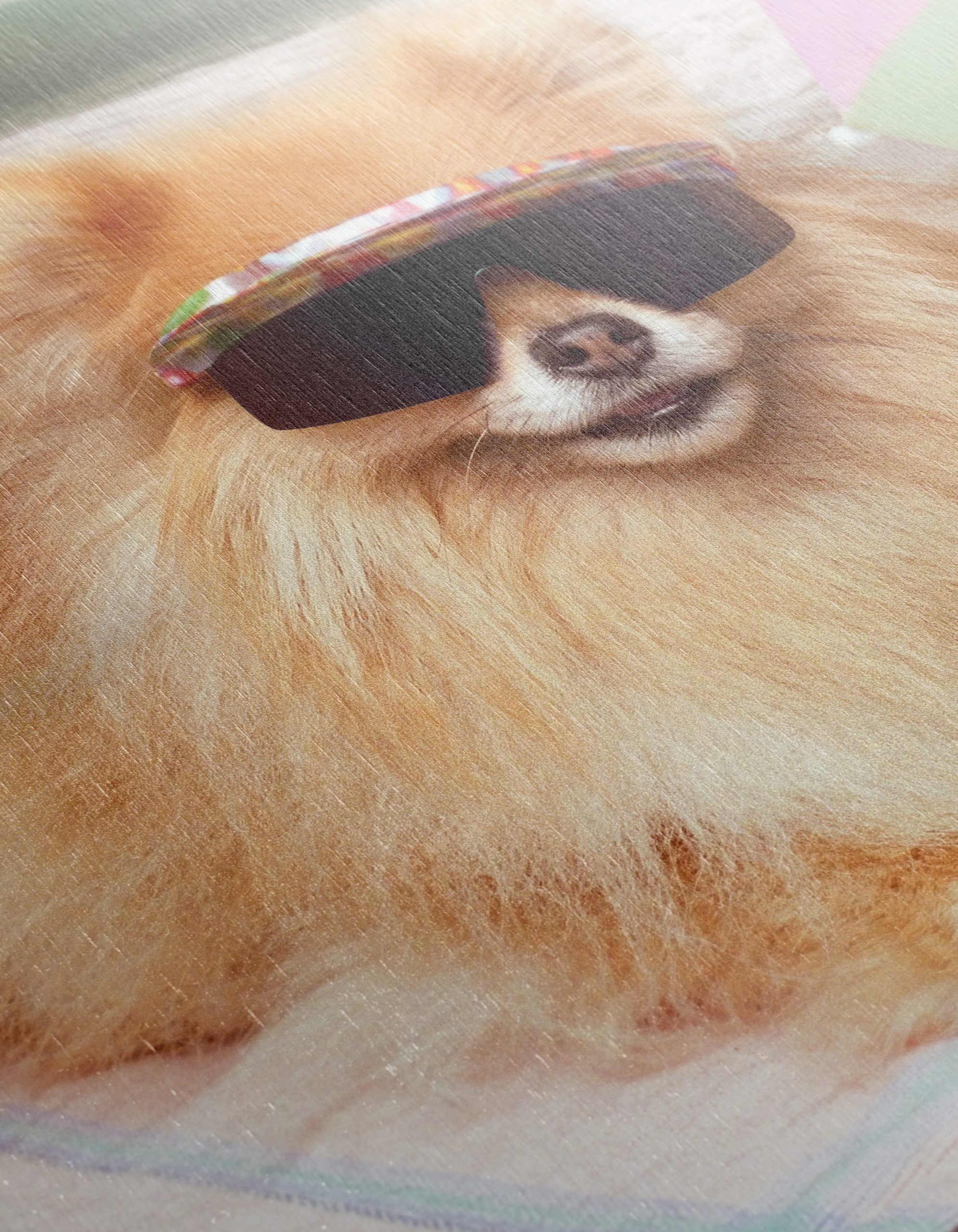 Playful Dog on the Beach - Image 12