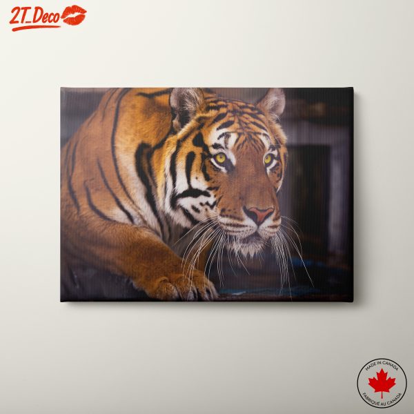 Majestic Tiger Wall Art 10