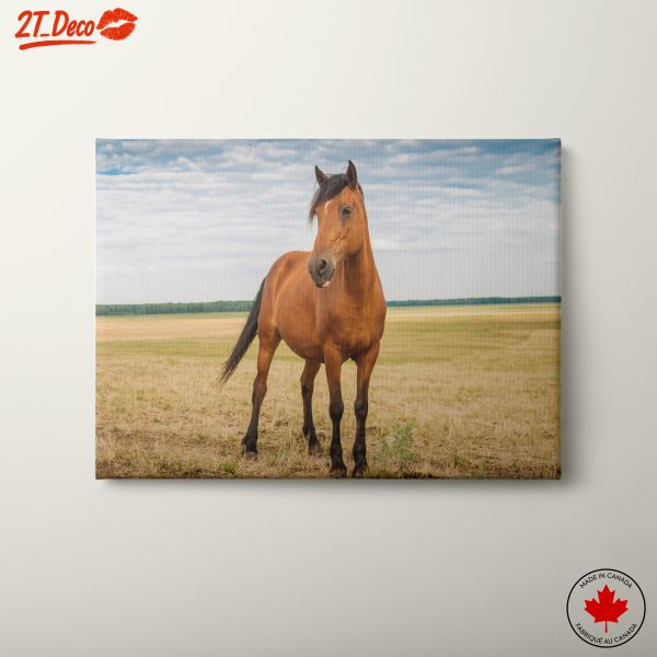 Realistic Horse Close-Up