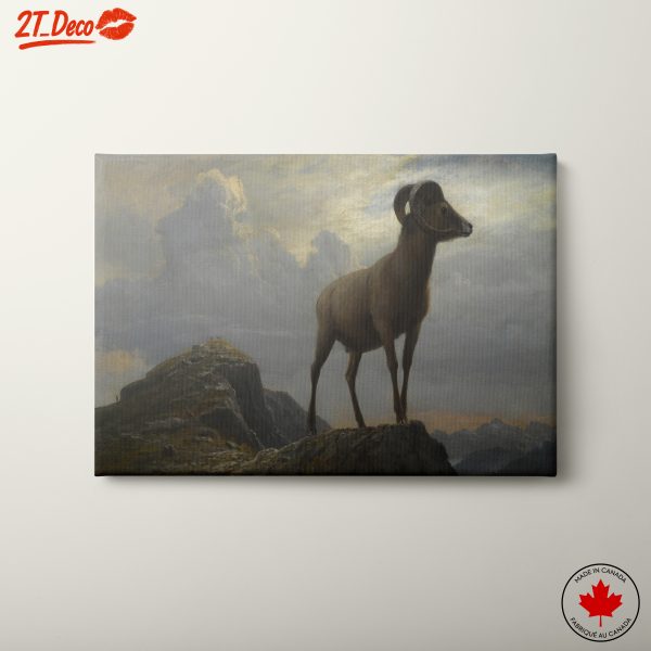 Majestic Animal Amidst Dramatic Landscape