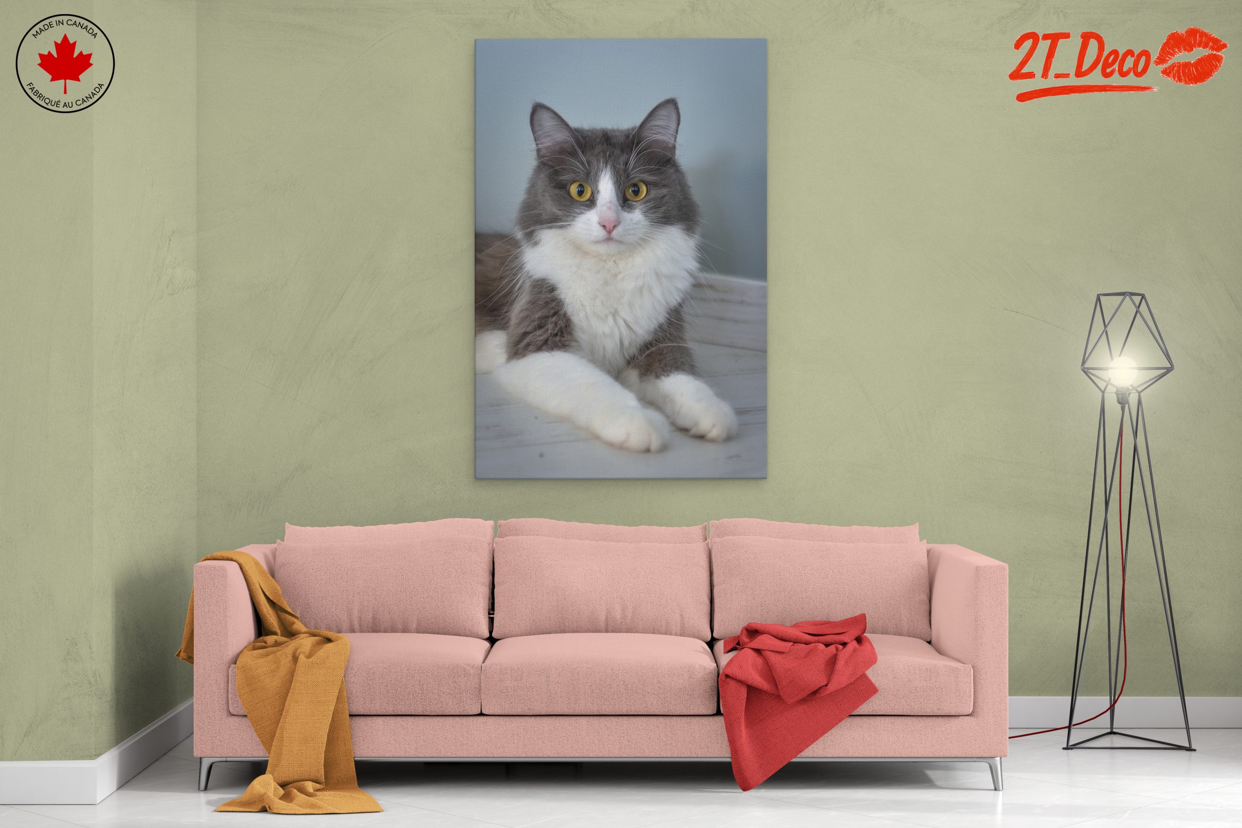 Gray and White Cat Portrait - Image 2