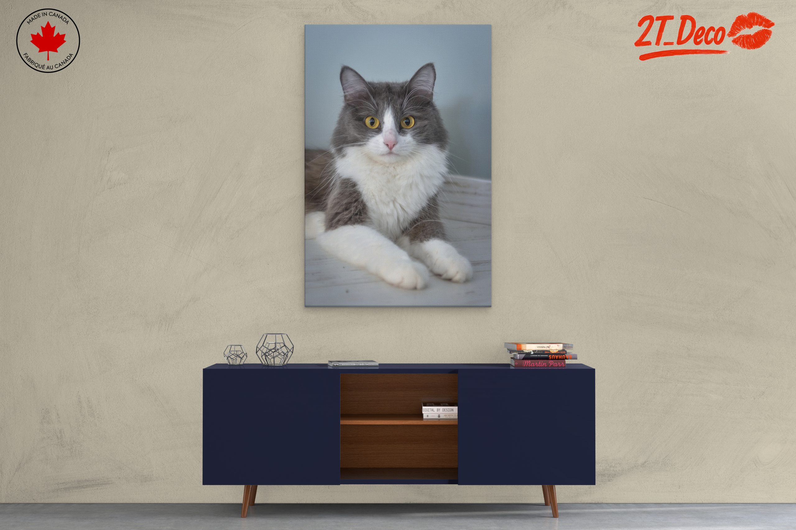 Gray and White Cat Portrait - Image 3