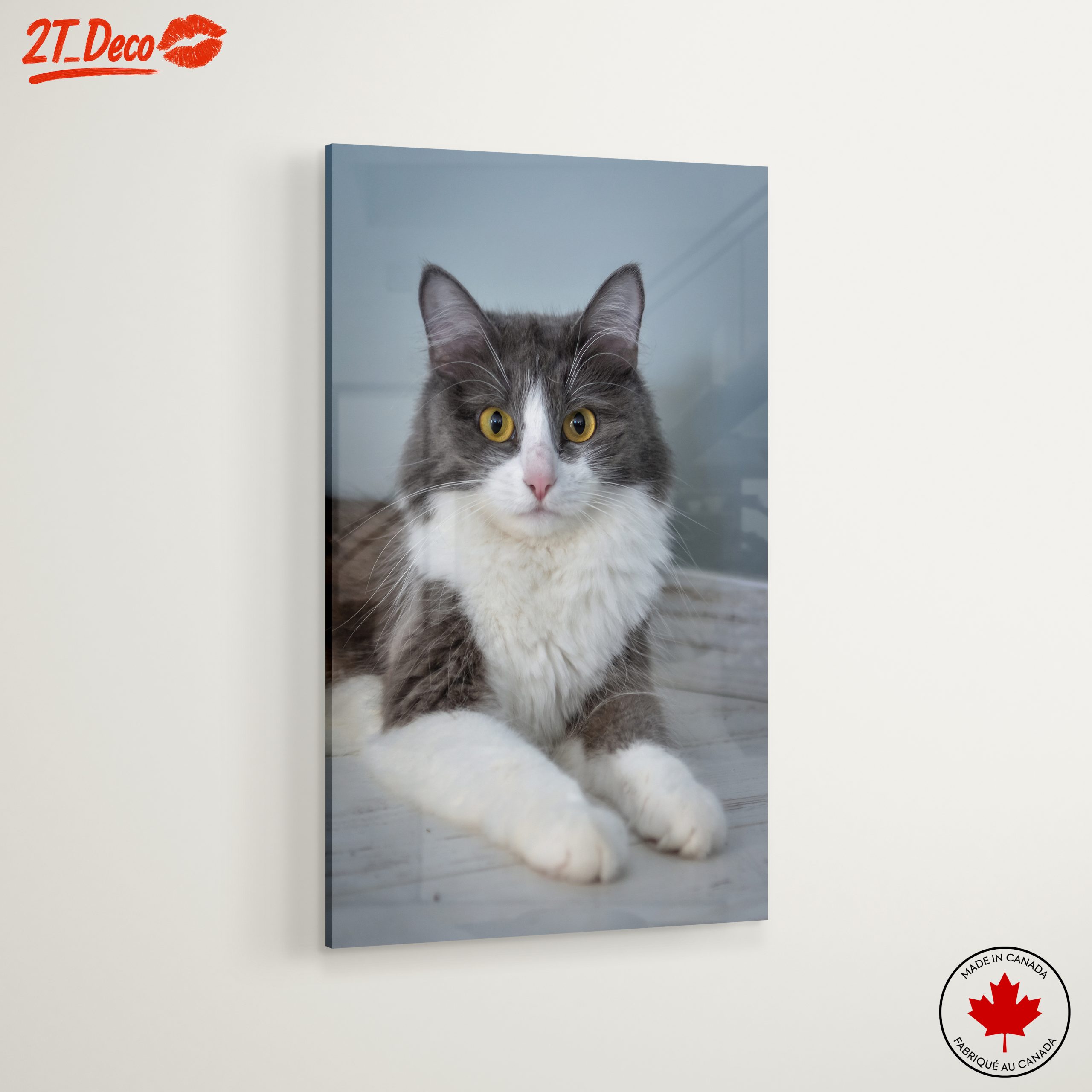 Gray and White Cat Portrait - Image 6