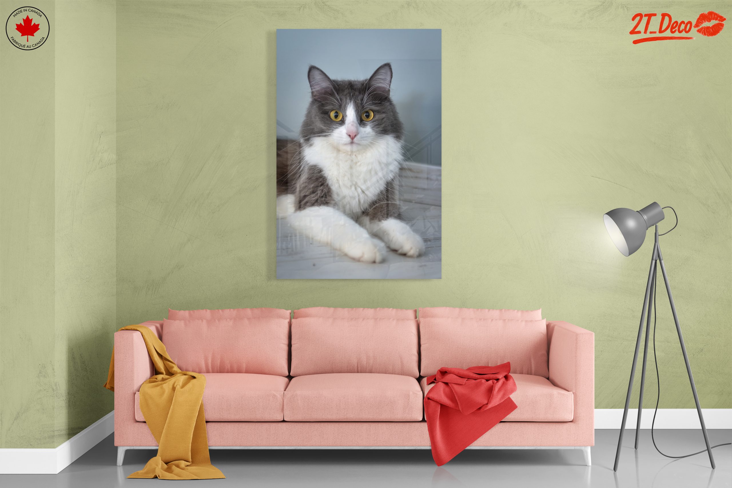 Gray and White Cat Portrait - Image 7
