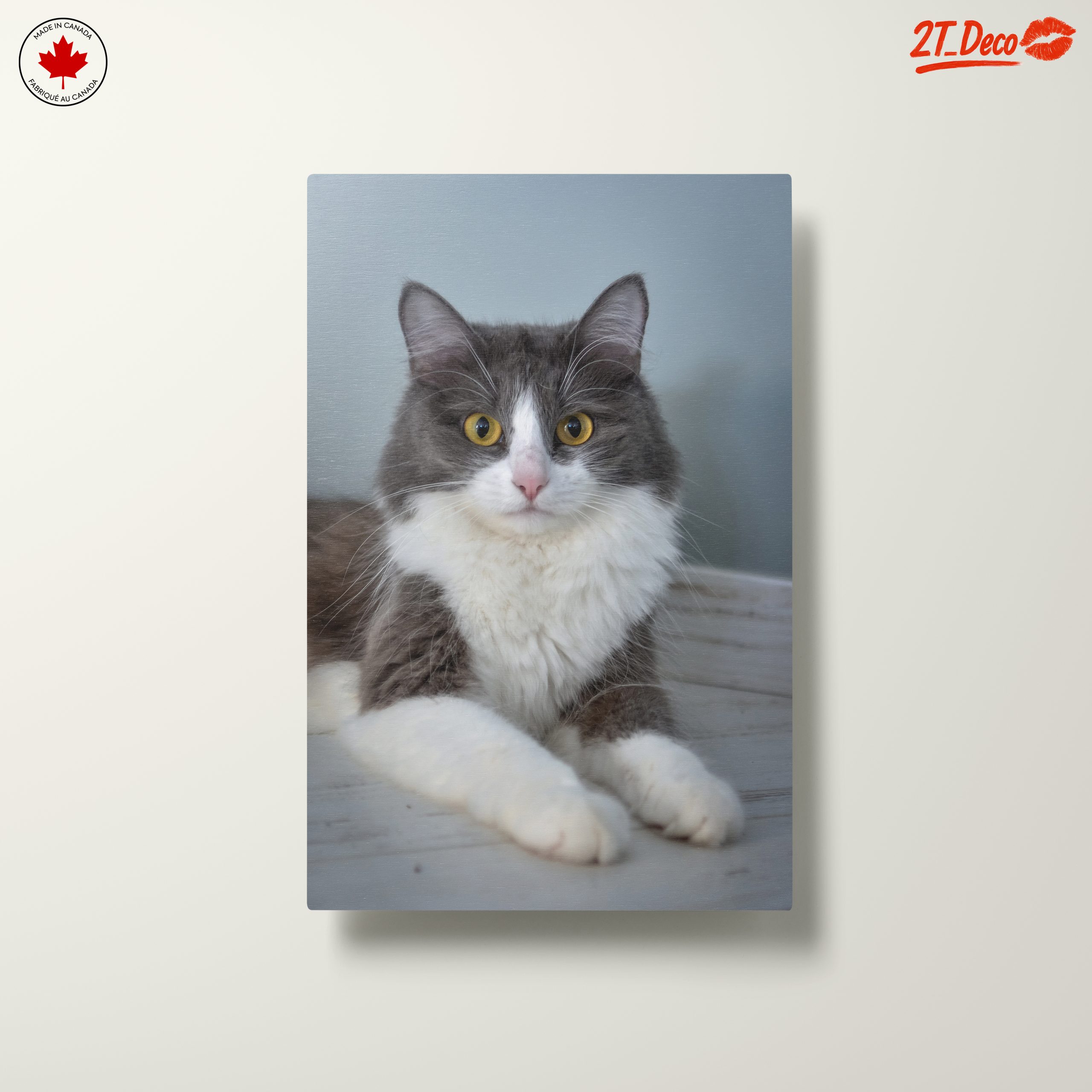 Gray and White Cat Portrait - Image 10