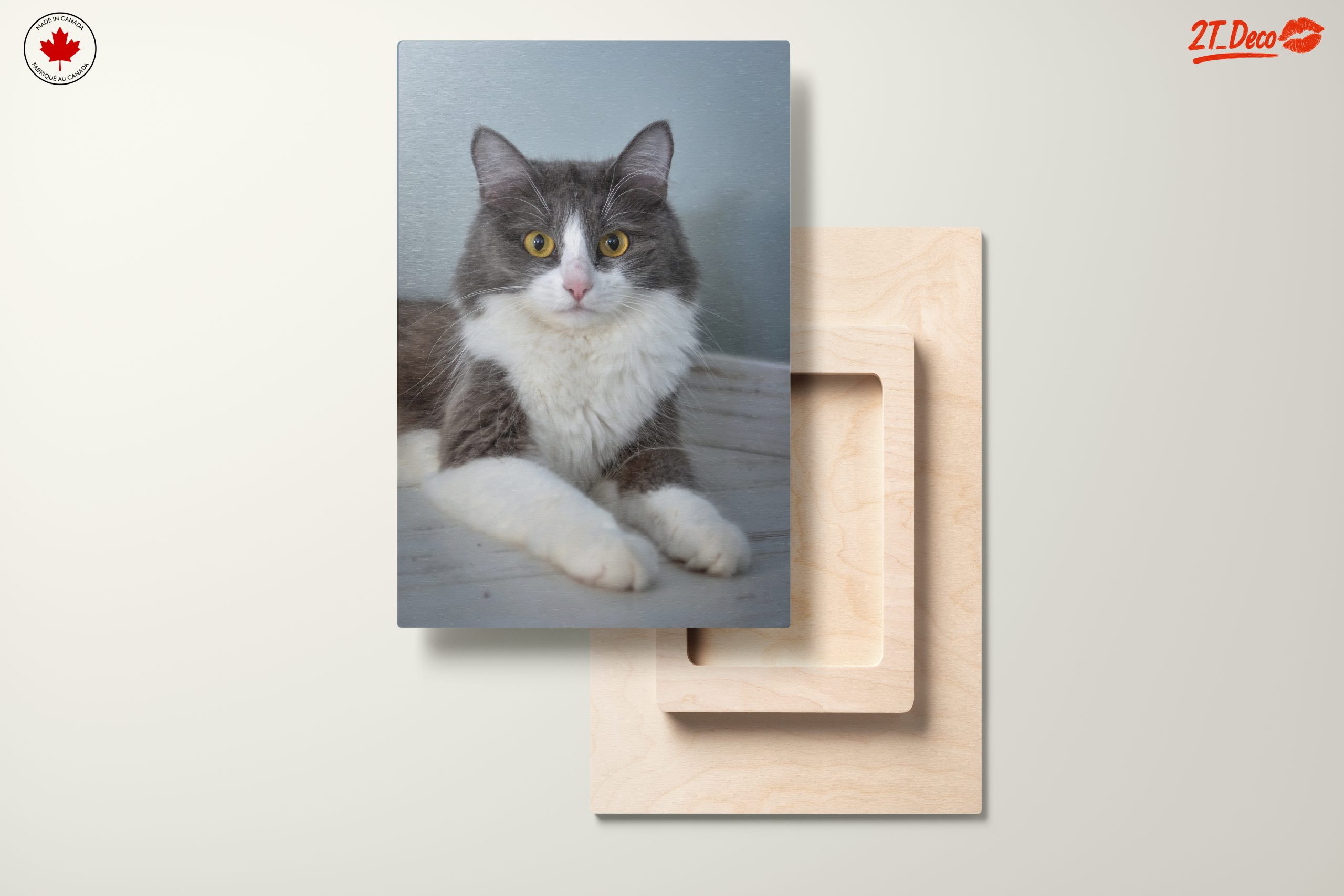 Gray and White Cat Portrait - Image 11