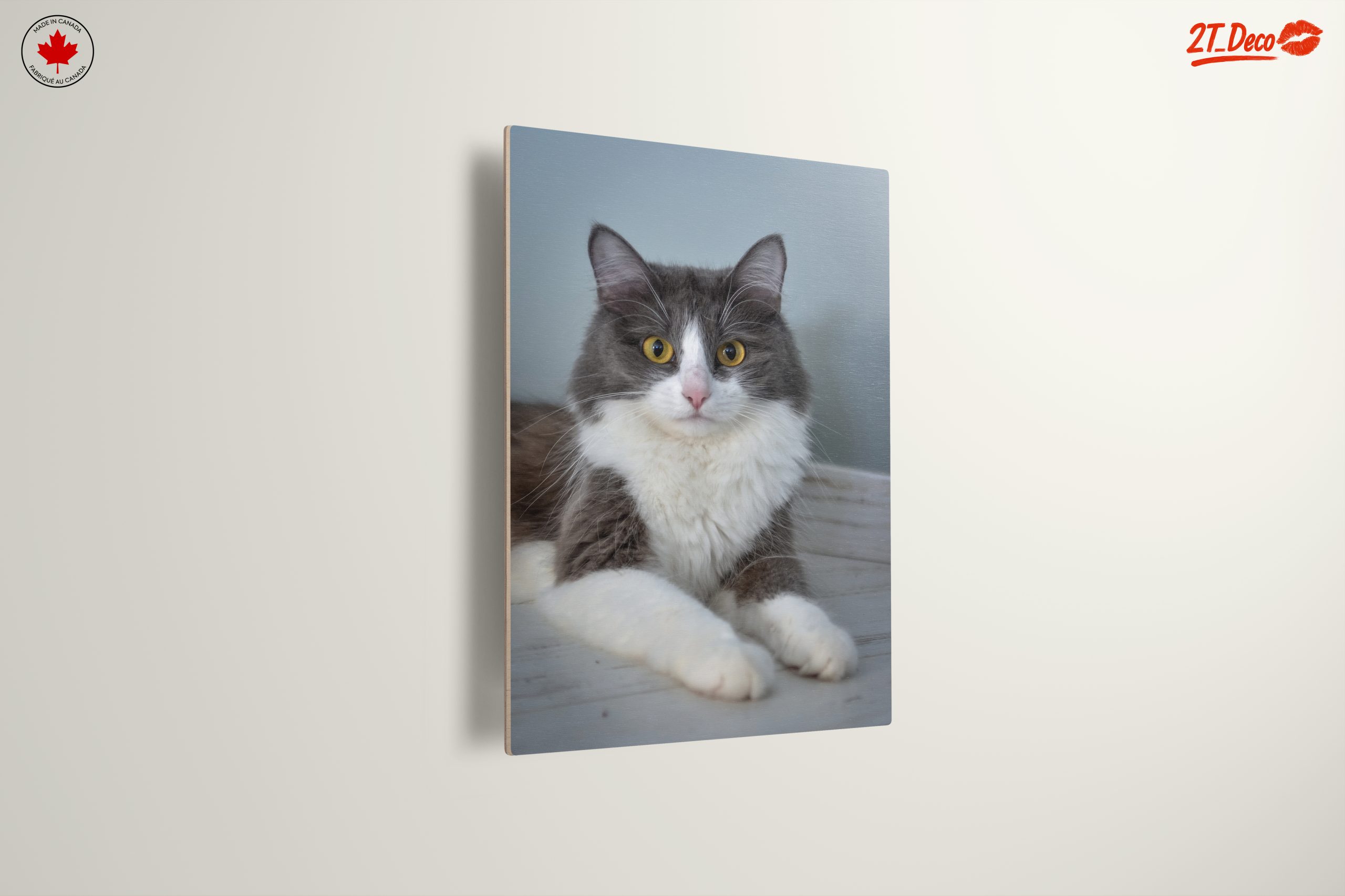 Gray and White Cat Portrait - Image 13