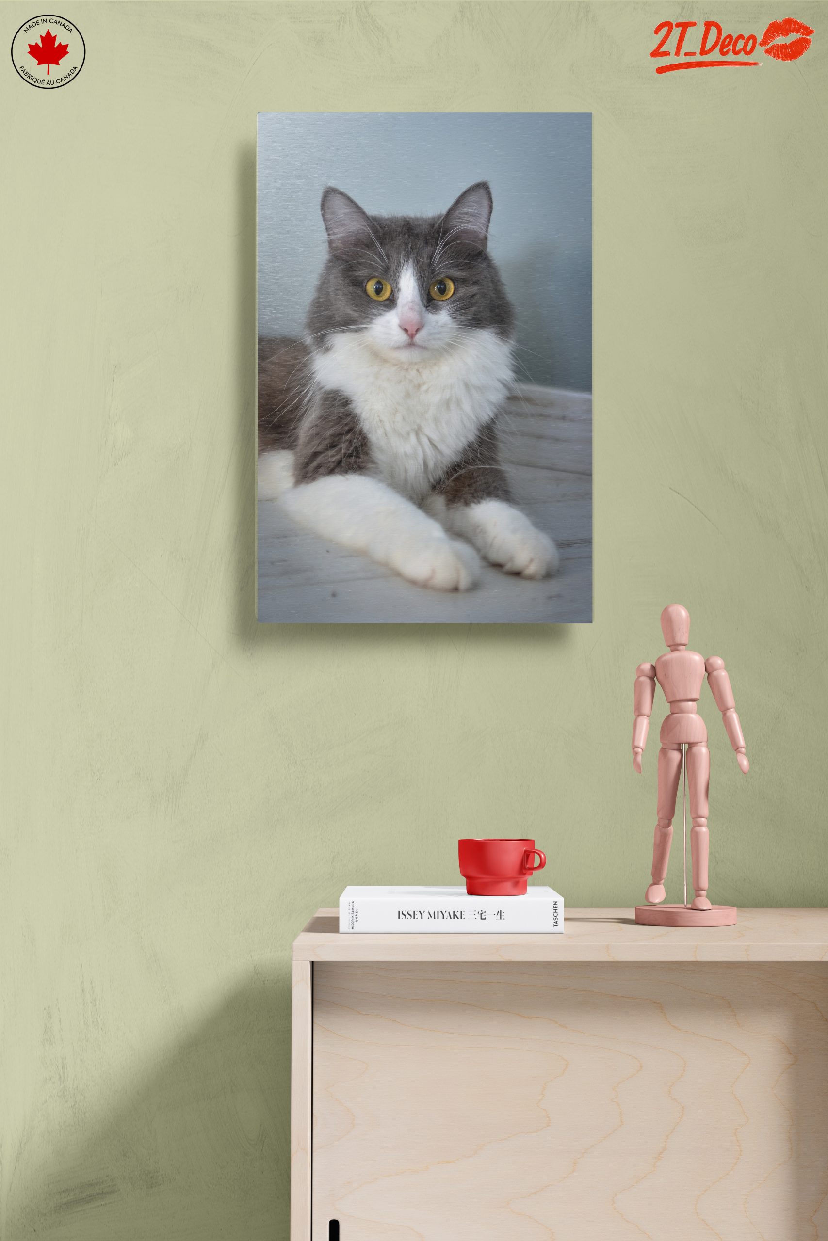 Gray and White Cat Portrait - Image 14