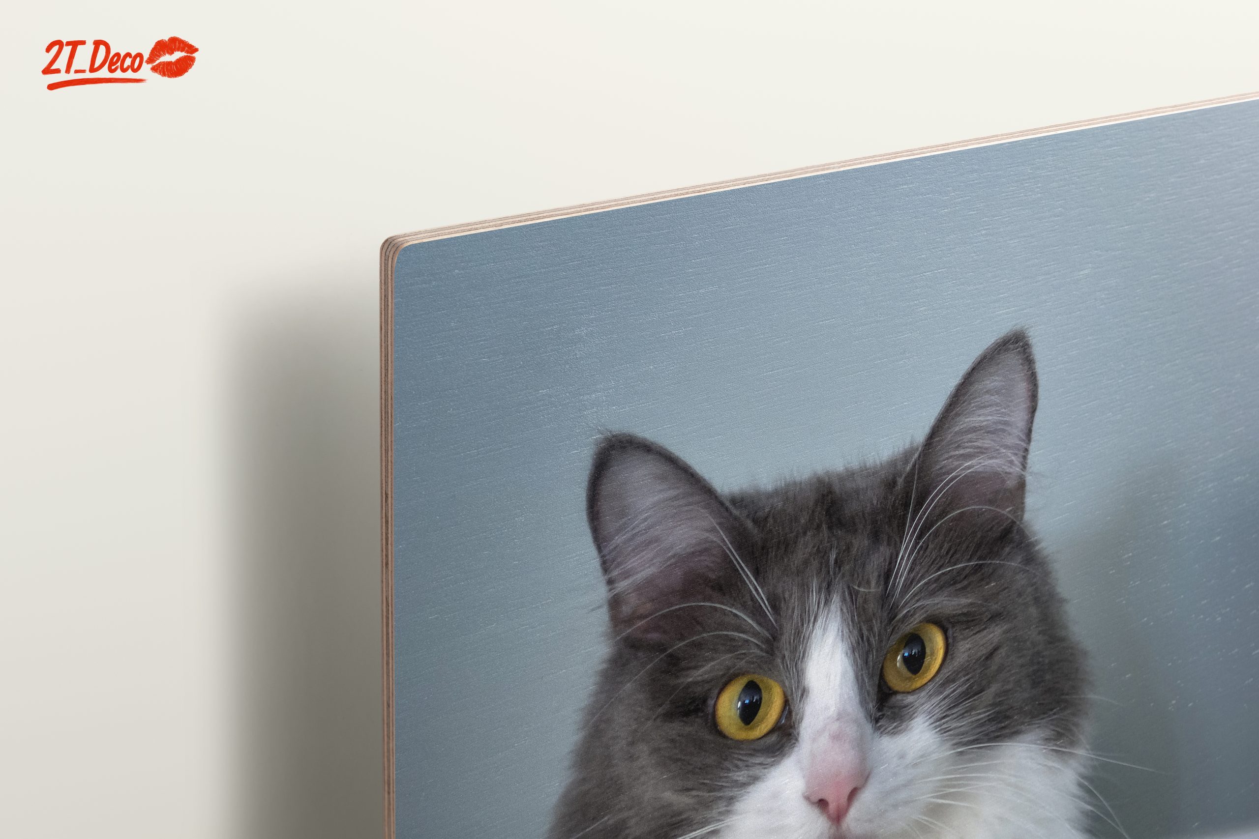 Gray and White Cat Portrait - Image 15