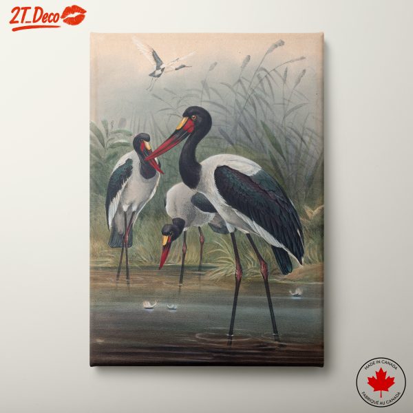 Elegant Bird Artwork in Natural Setting