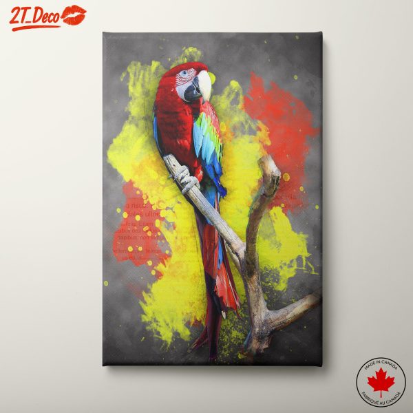 Colorful Parrot Wall Art
